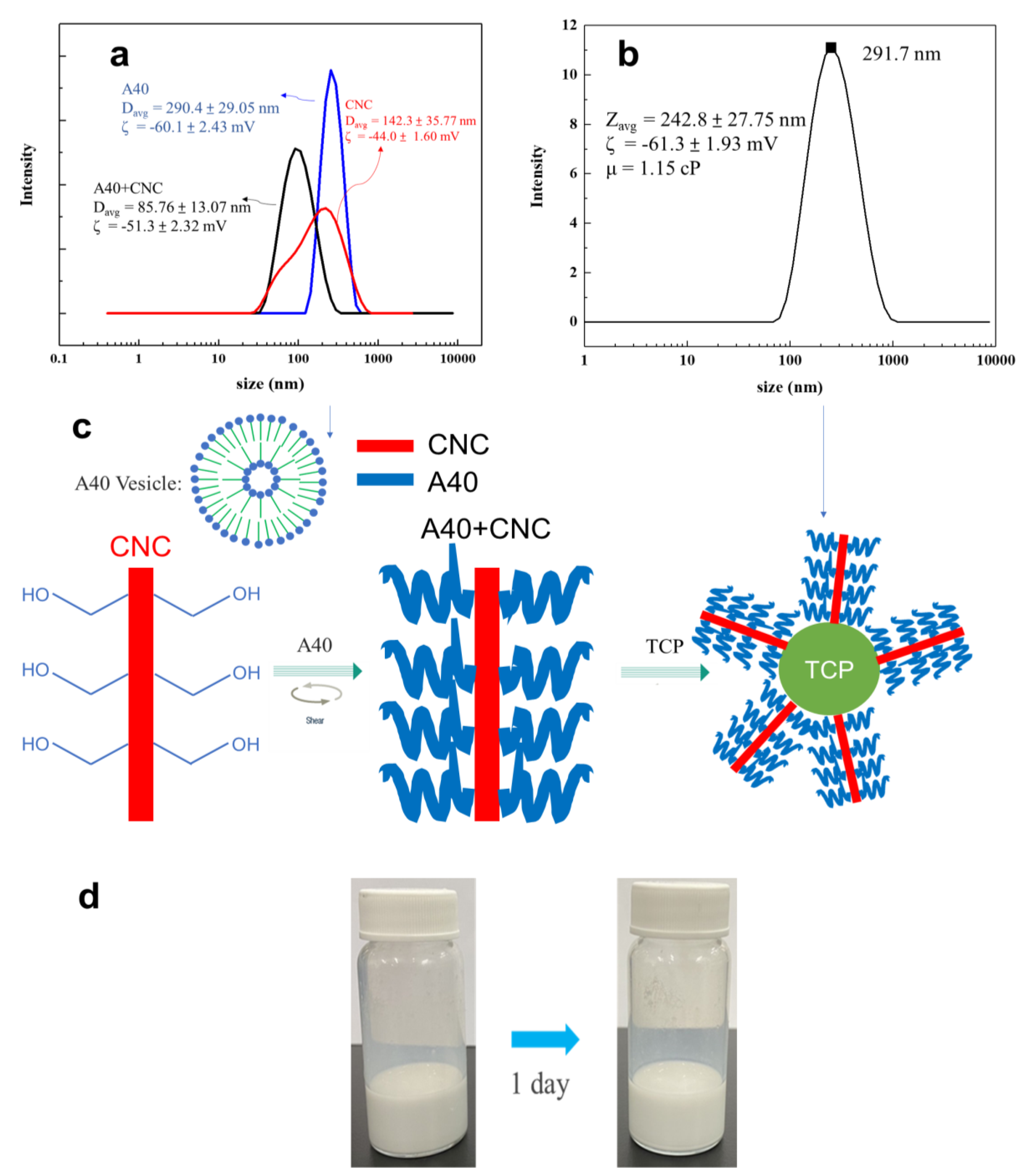 Materials 16 00228 g005