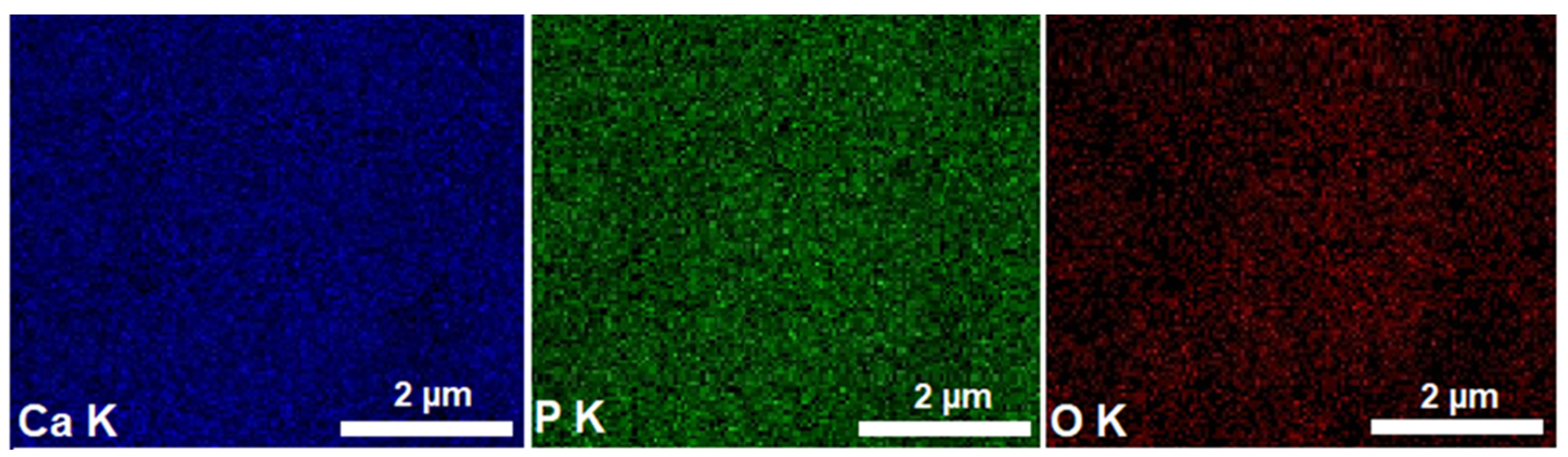 Materials 16 00229 g002