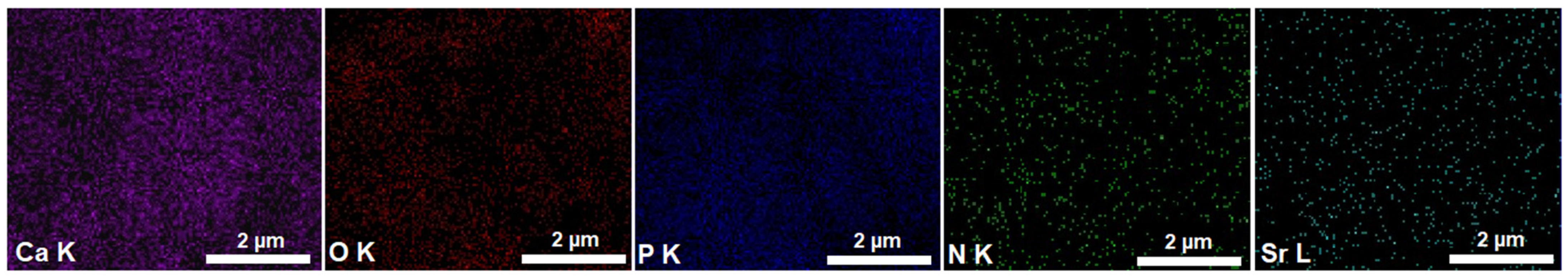 Materials 16 00229 g004