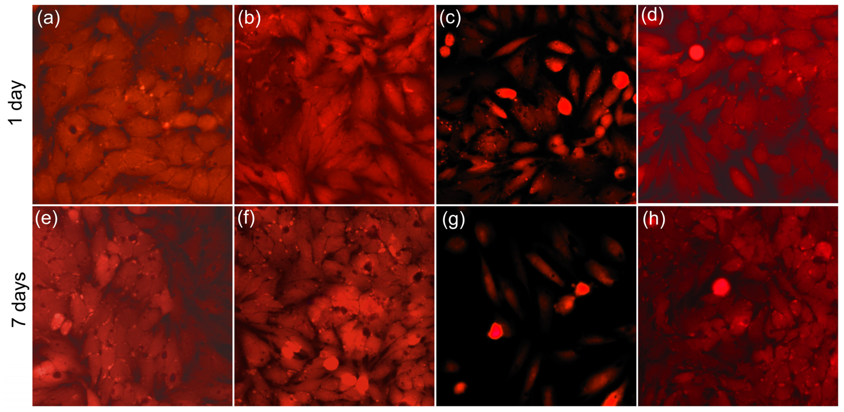 Materials 16 00229 g012