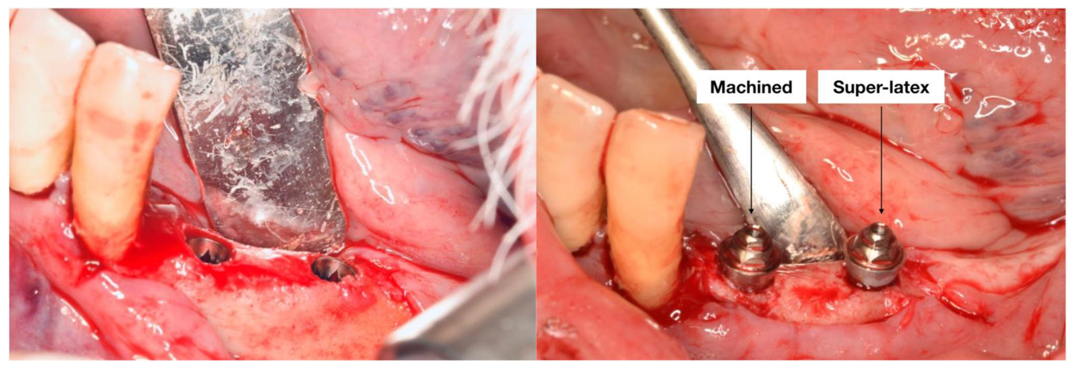 Materials 16 00246 g003 Materials 16 00246 g003