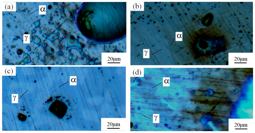 Materials 16 00250 g004 Materials 16 00250 g004