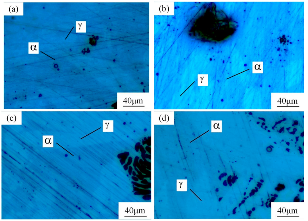 Materials 16 00250 g005 Materials 16 00250 g005