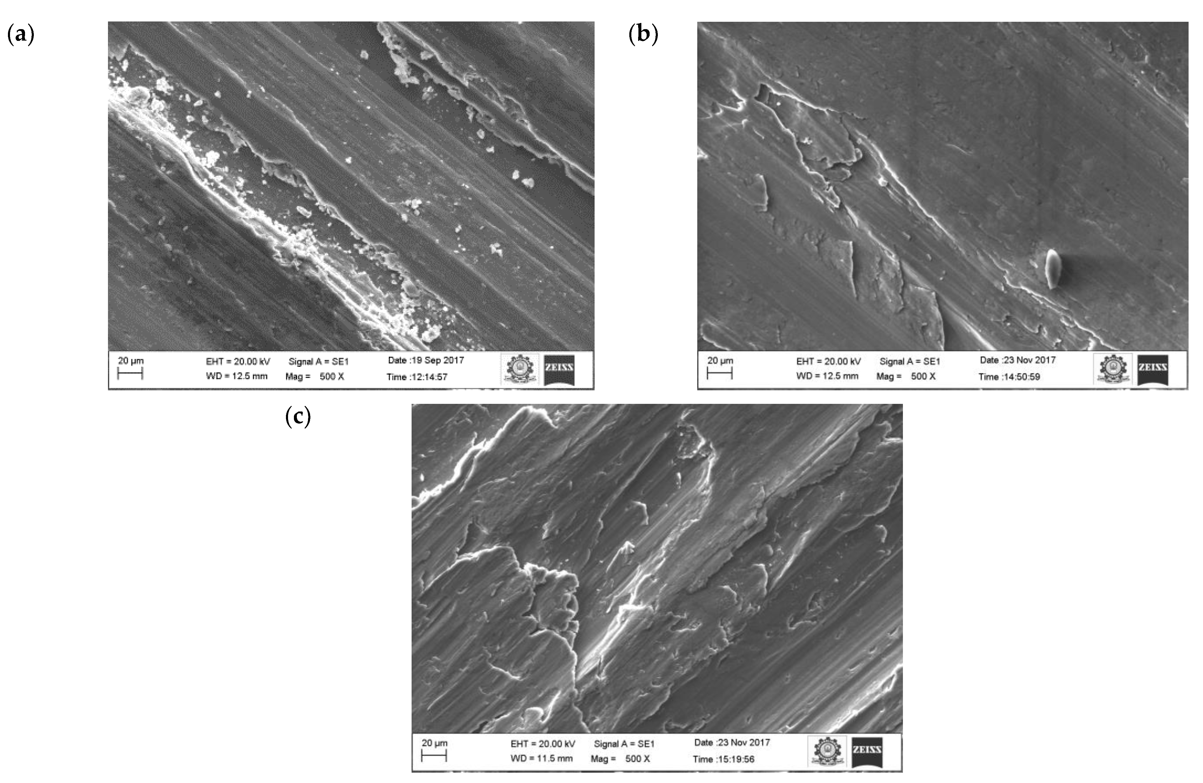 Materials 16 00259 g007