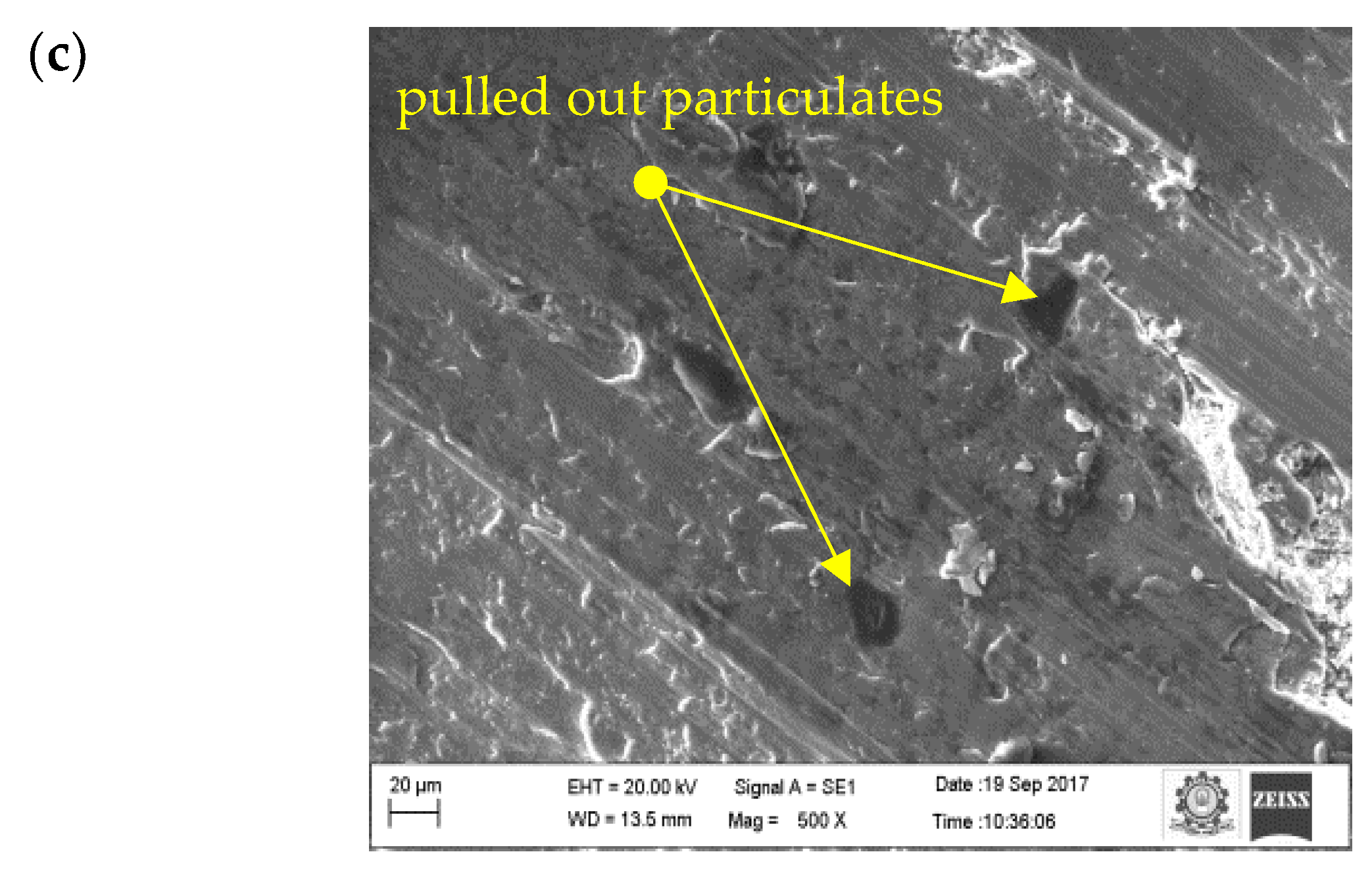 Materials 16 00259 g012b
