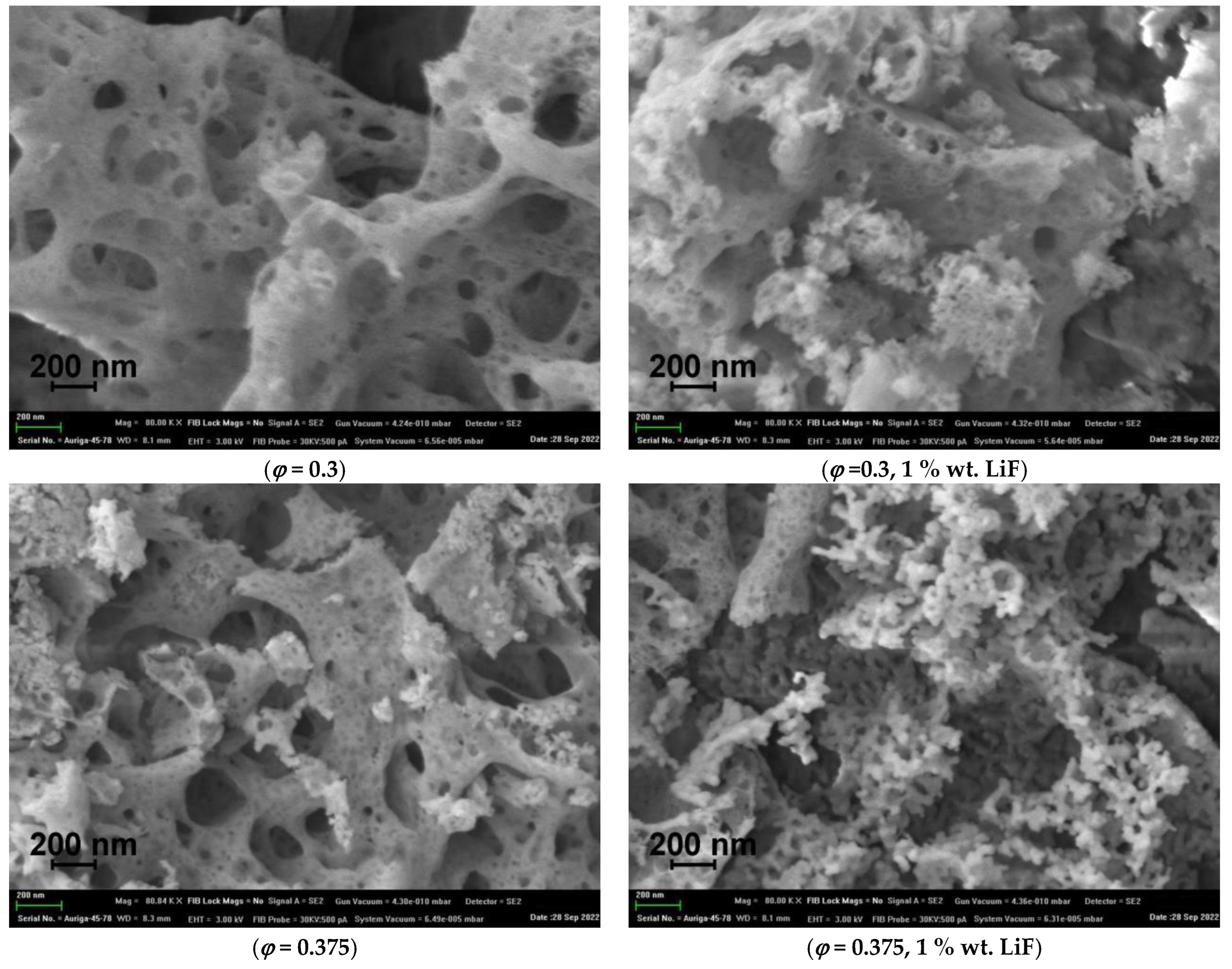 Materials 16 00260 g003a Materials 16 00260 g003a