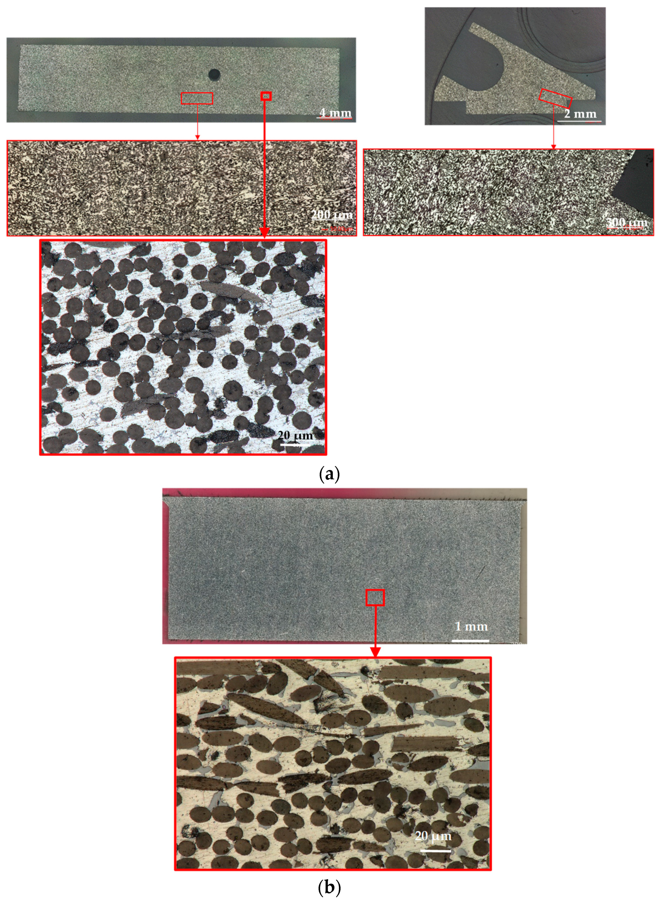 Materials 16 00268 g006