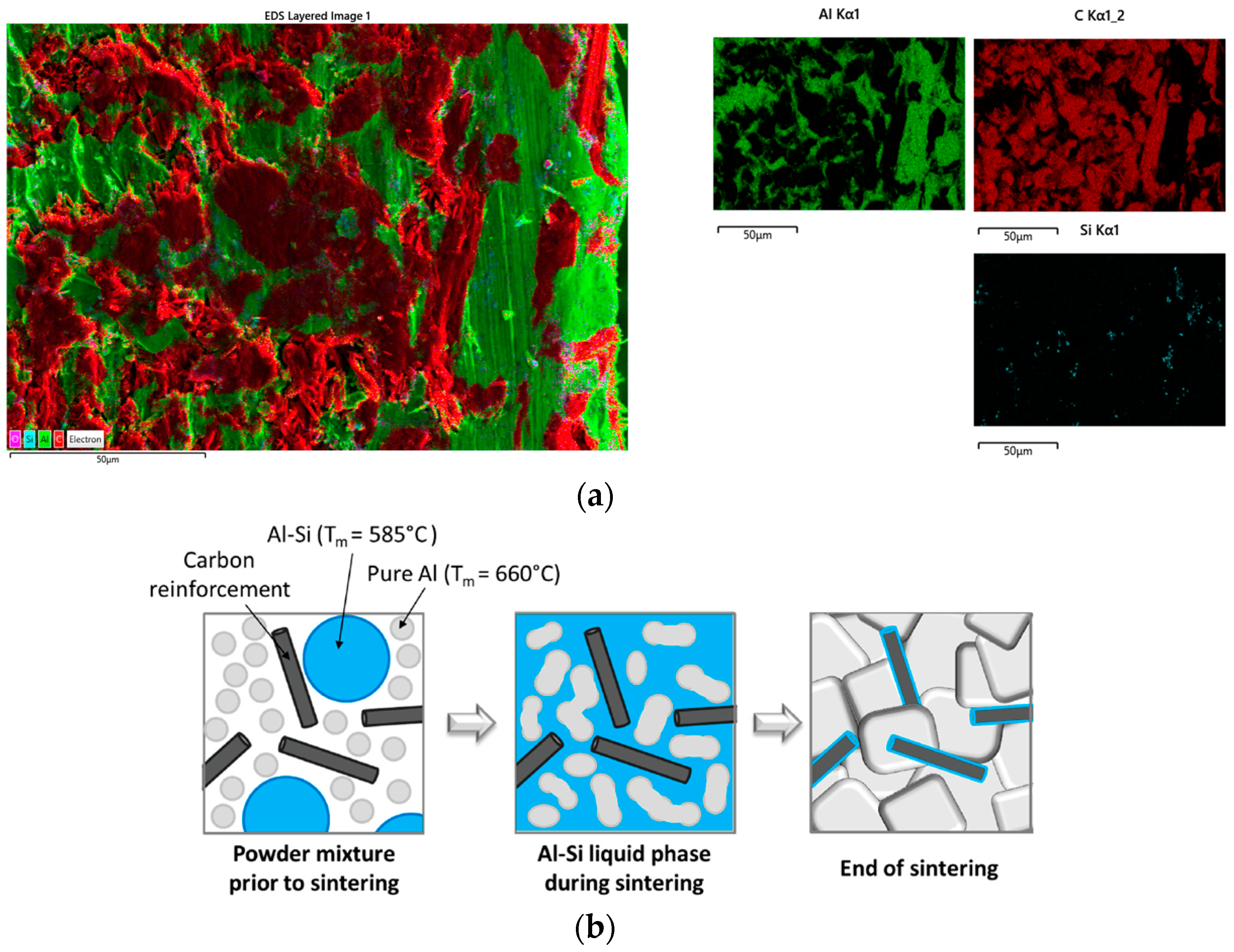 Materials 16 00268 g007