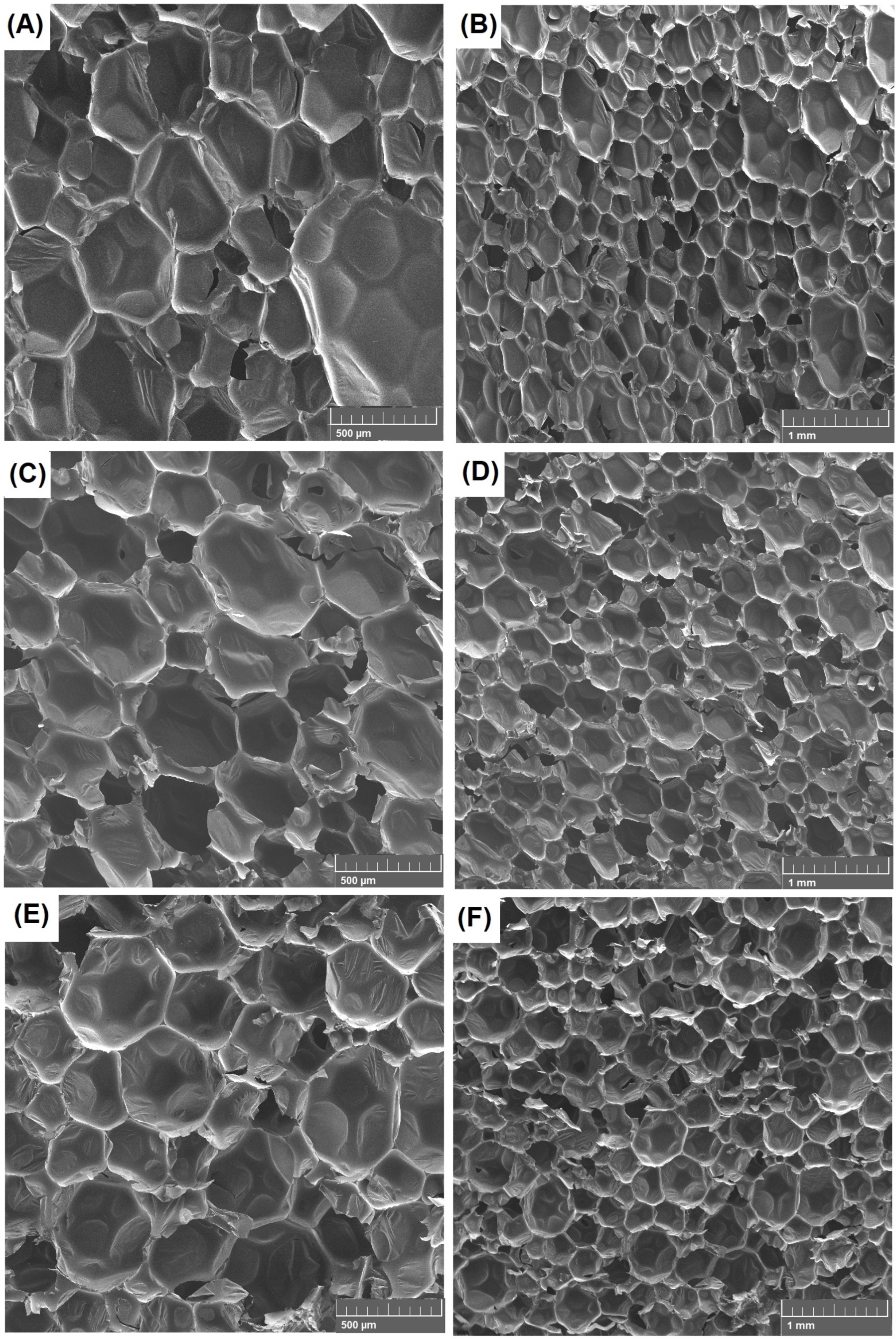 Materials 16 00278 g011