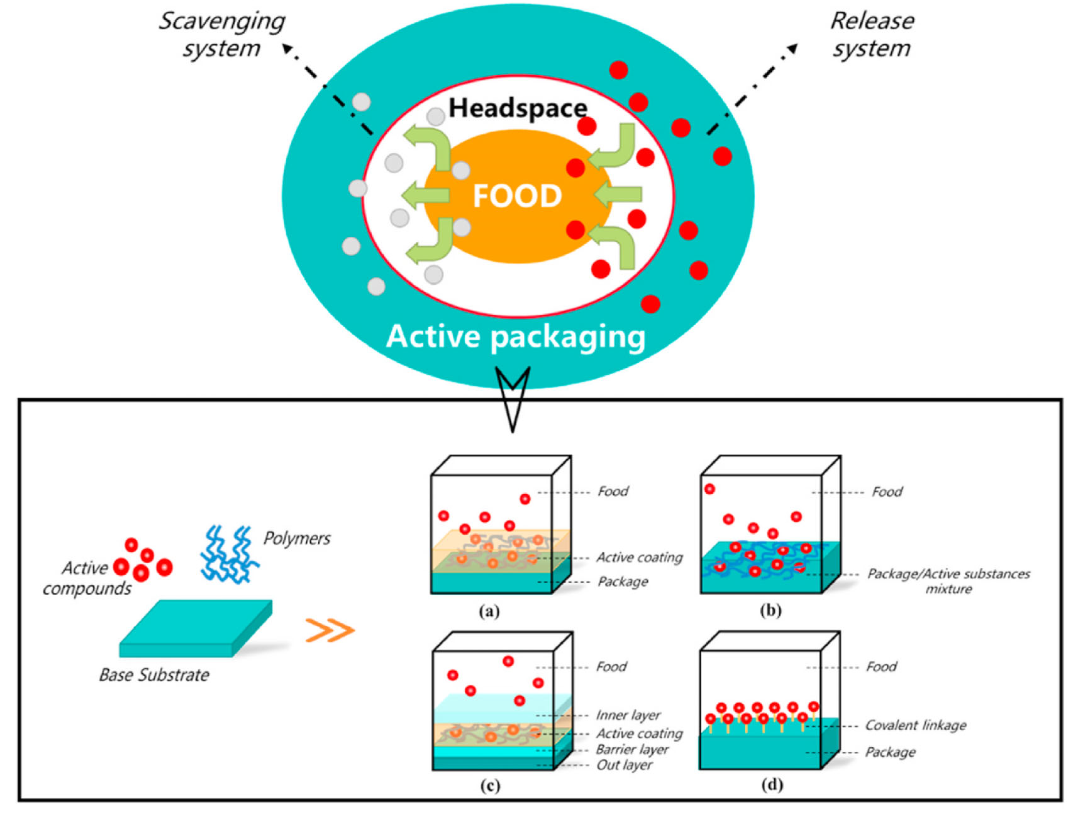 Pactiv Food Packaging: A Comprehensive Overview of Products, Impact, and Innovation