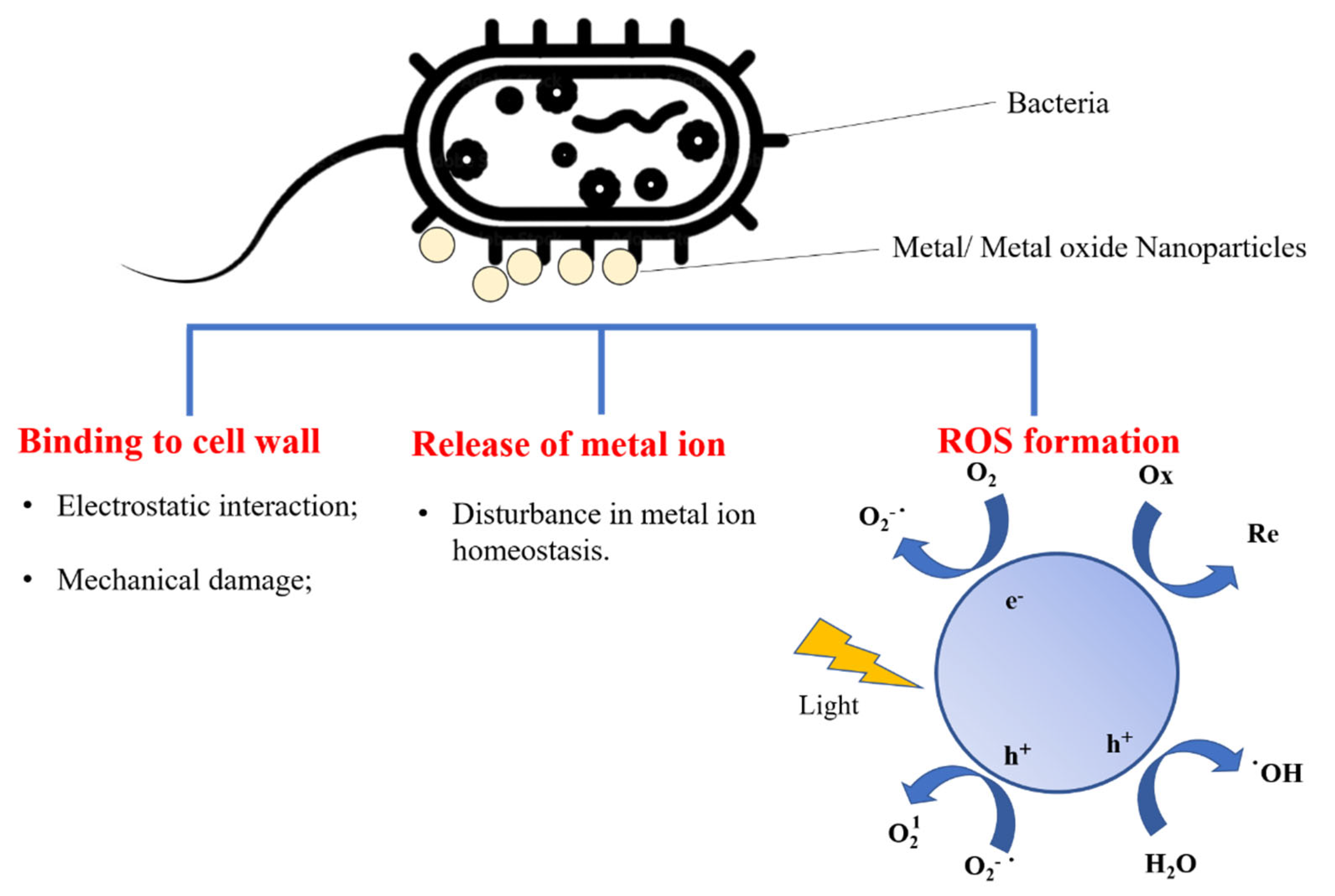 Materials 16 00279 g003 Materials 16 00279 g003