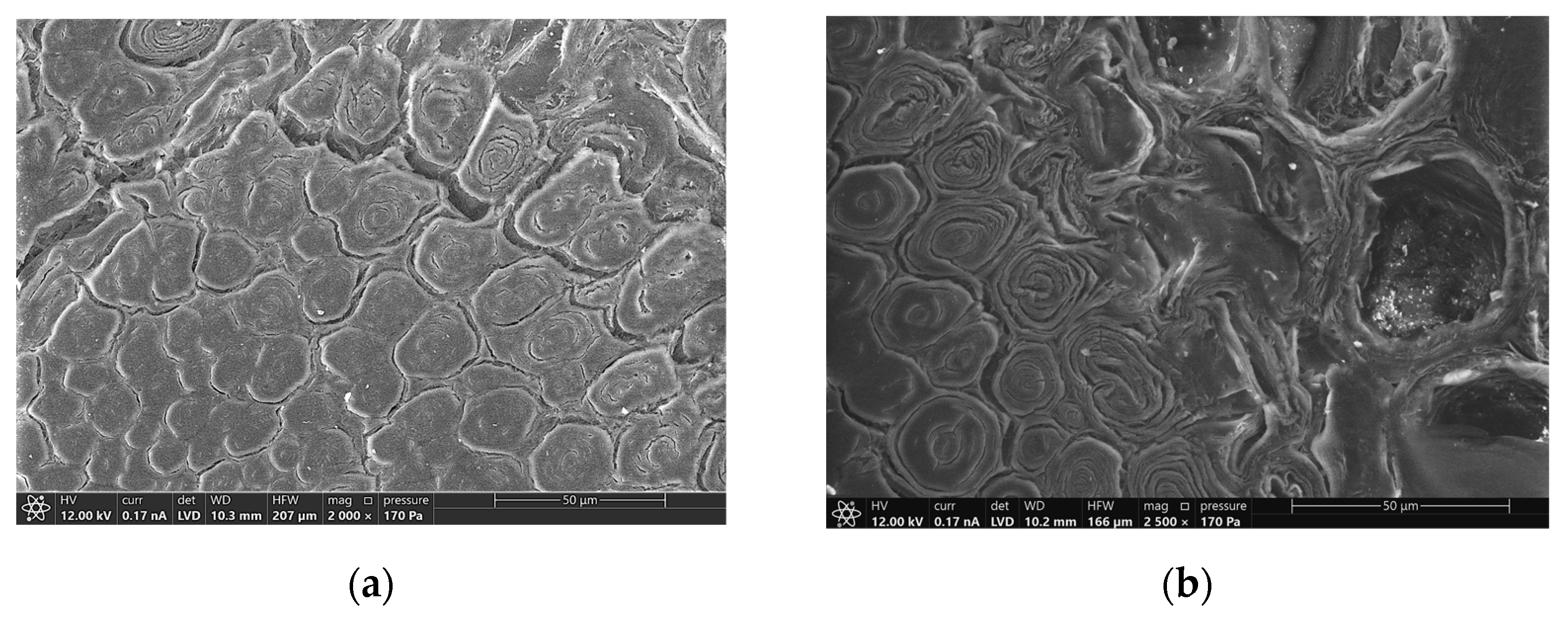 Materials 16 00285 g013 Materials 16 00285 g013