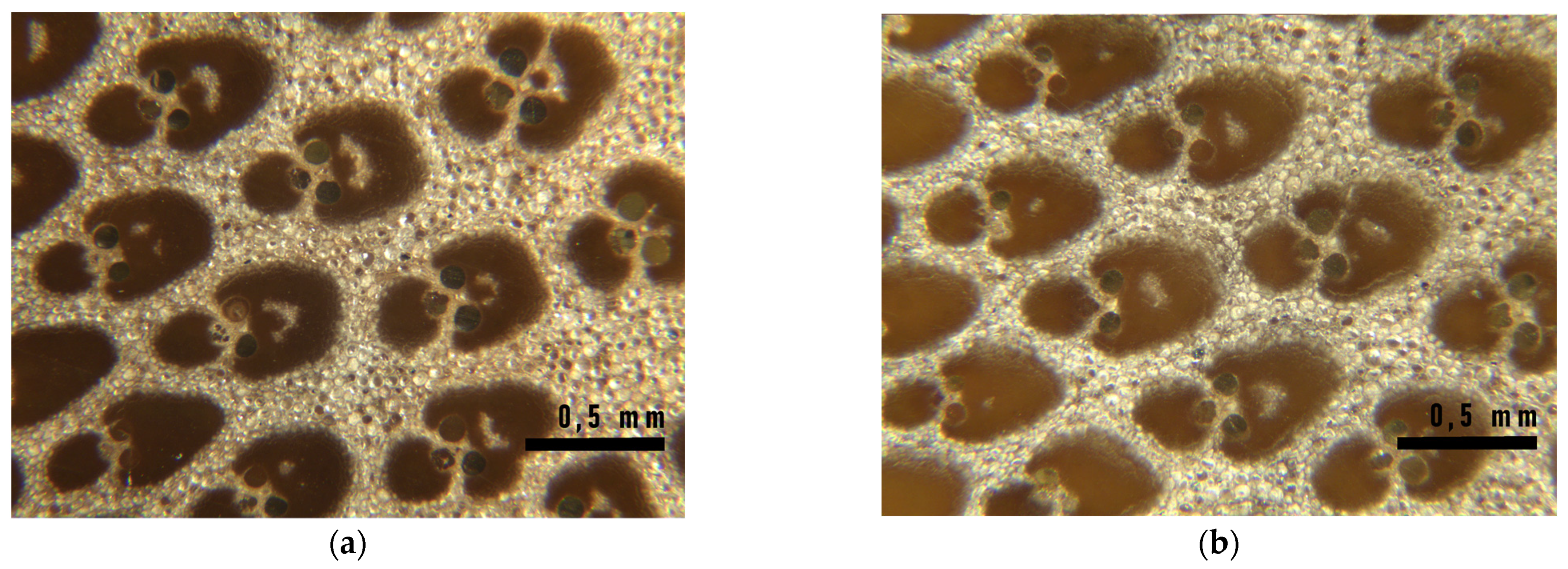 Materials 16 00285 g015 Materials 16 00285 g015