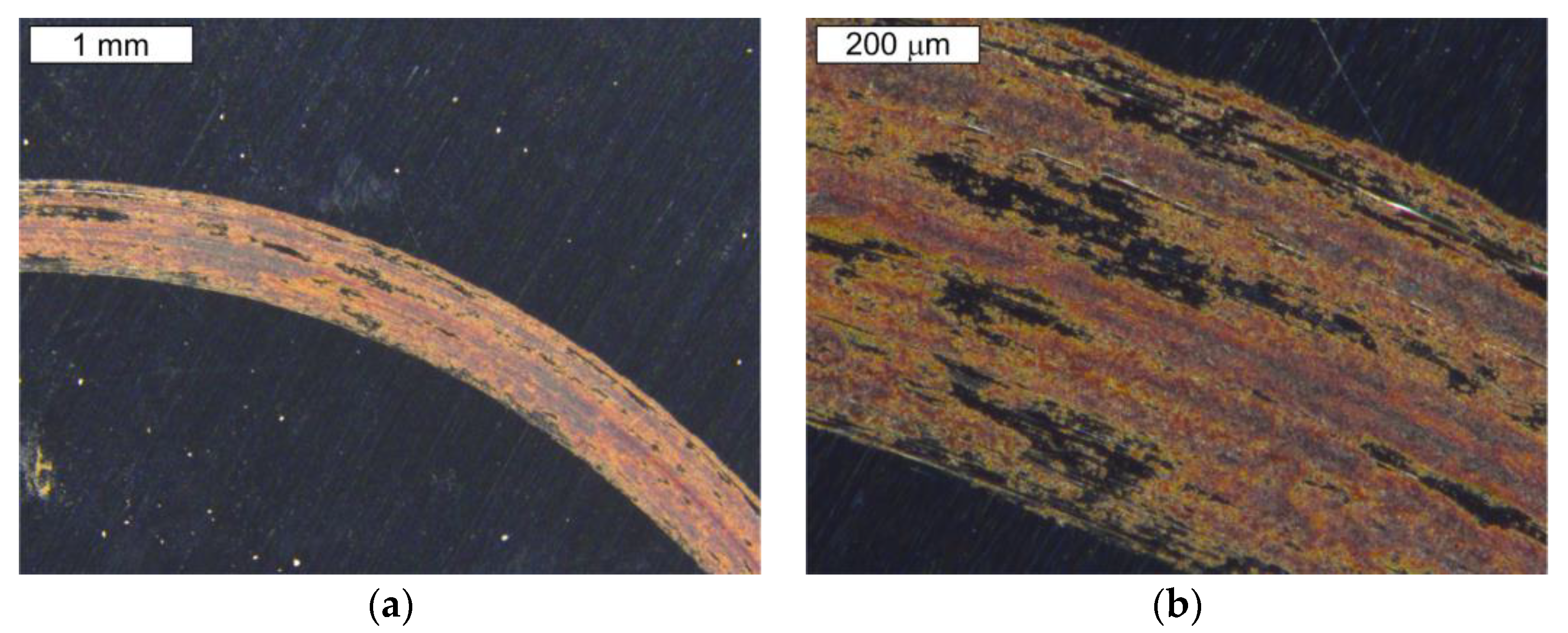 Materials 16 00293 g010 Materials 16 00293 g010