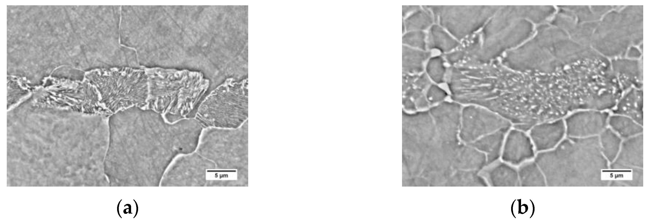 Materials 16 00304 g004