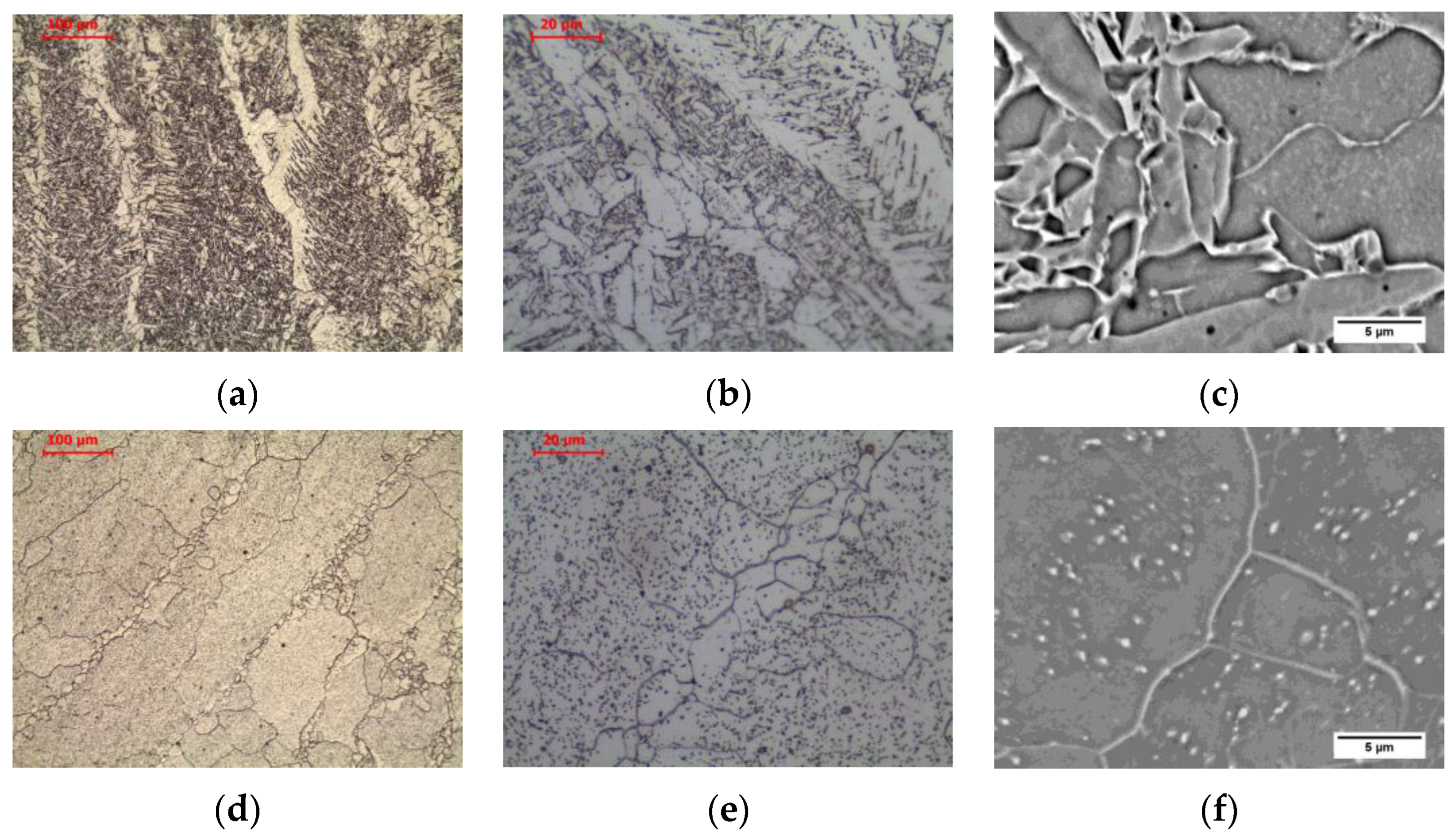 Materials 16 00304 g010