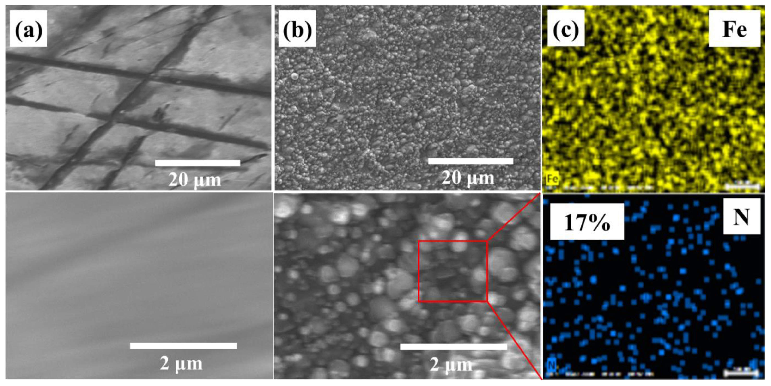 Materials 16 00311 g003a