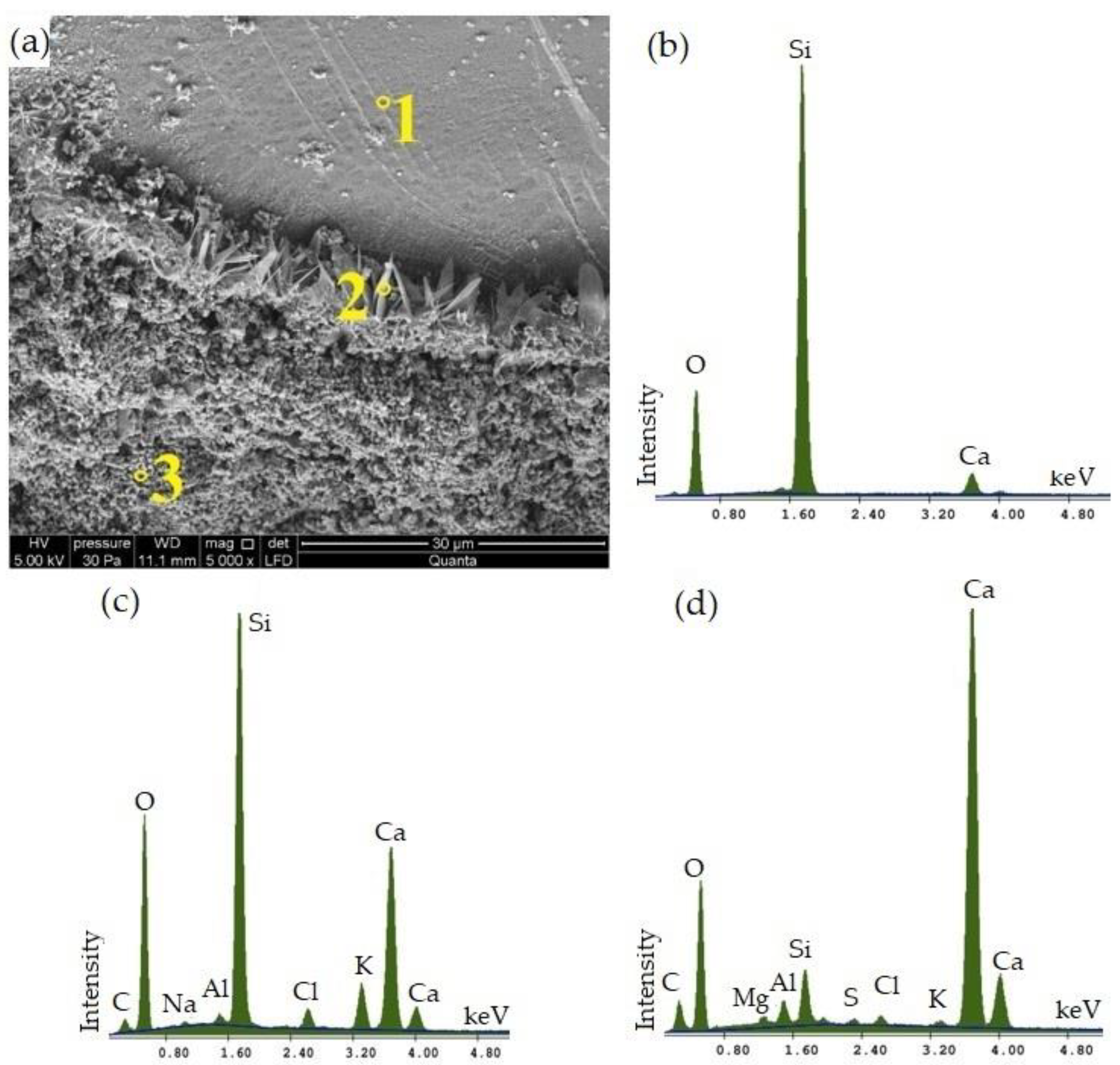 Materials 16 00316 g008