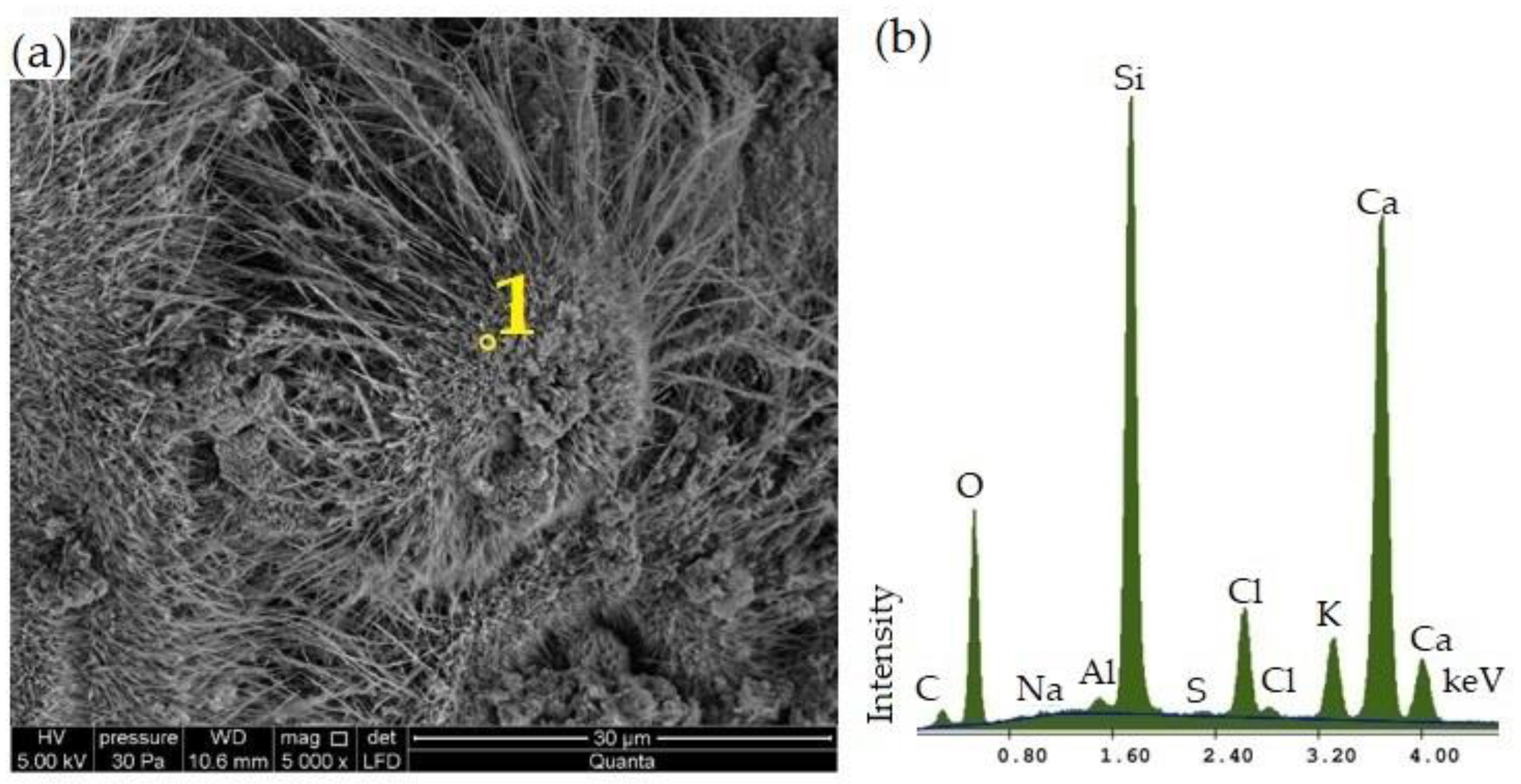 Materials 16 00316 g009