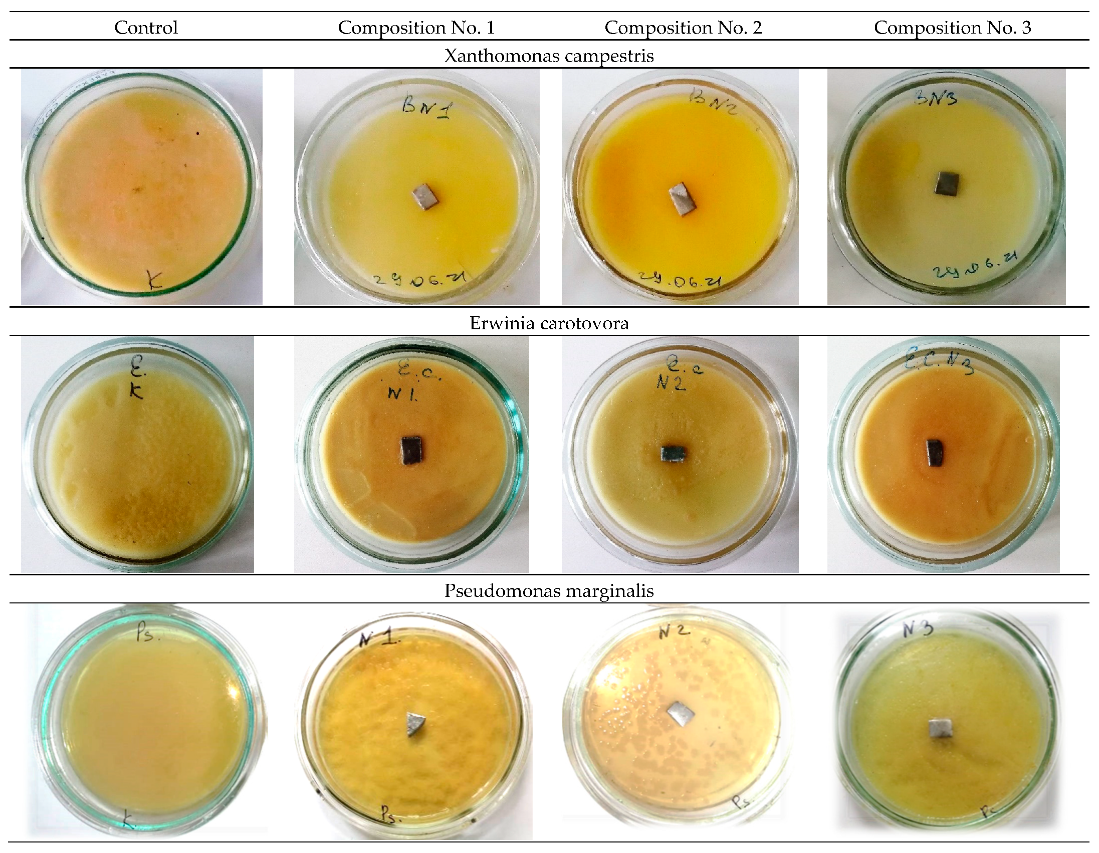 Materials 16 00319 g006a