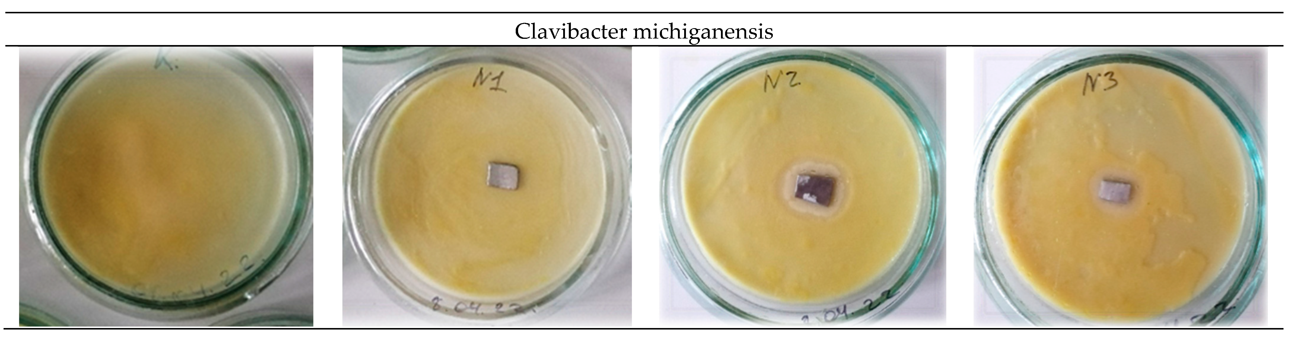 Materials 16 00319 g006b
