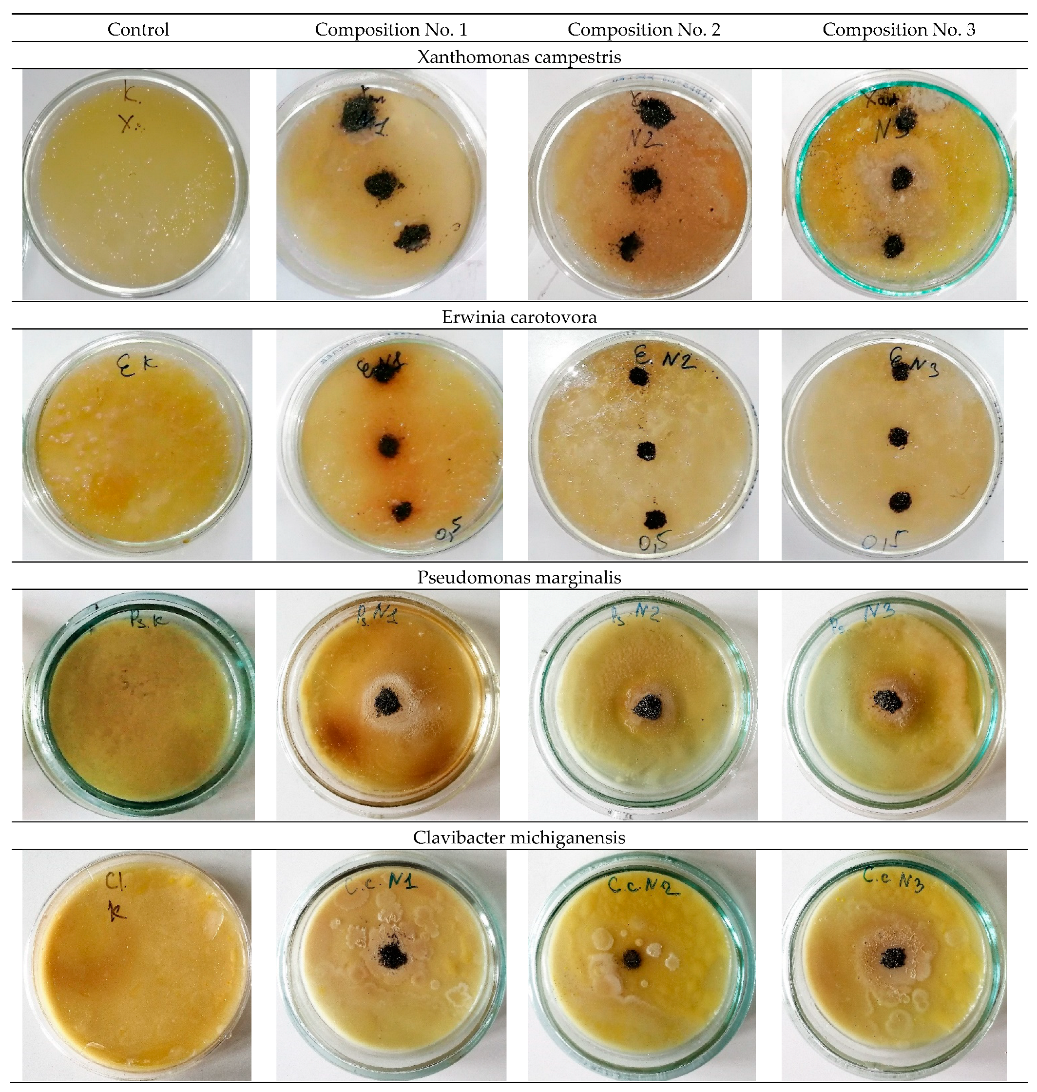 Materials 16 00319 g007