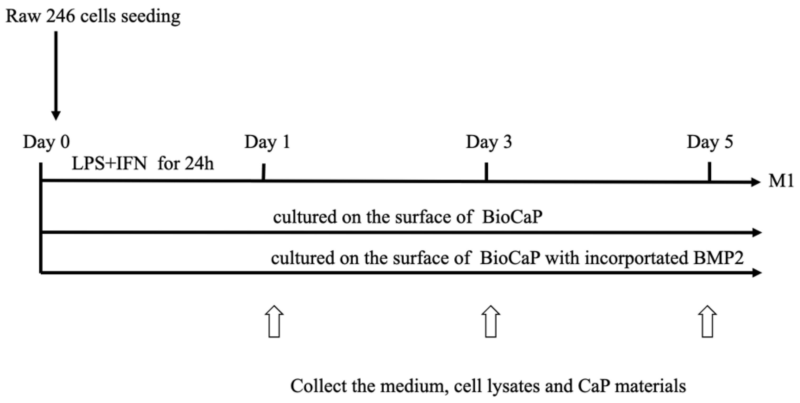 Materials 16 00332 g001 Materials 16 00332 g001