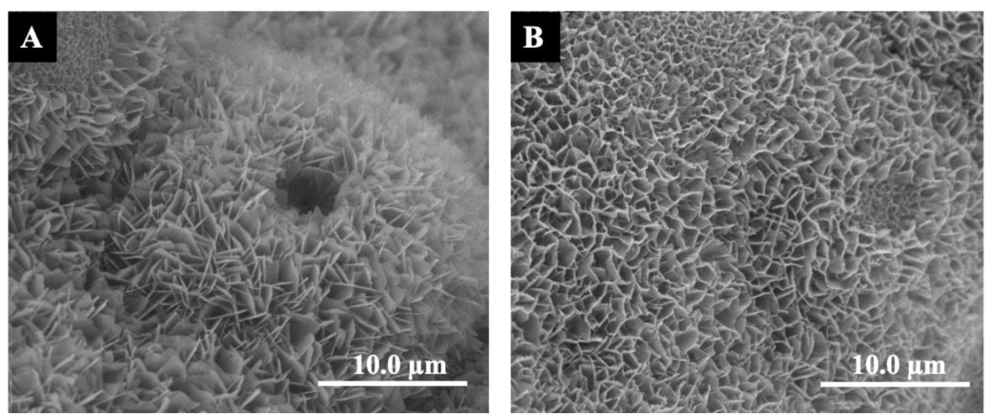 Materials 16 00332 g002 Materials 16 00332 g002