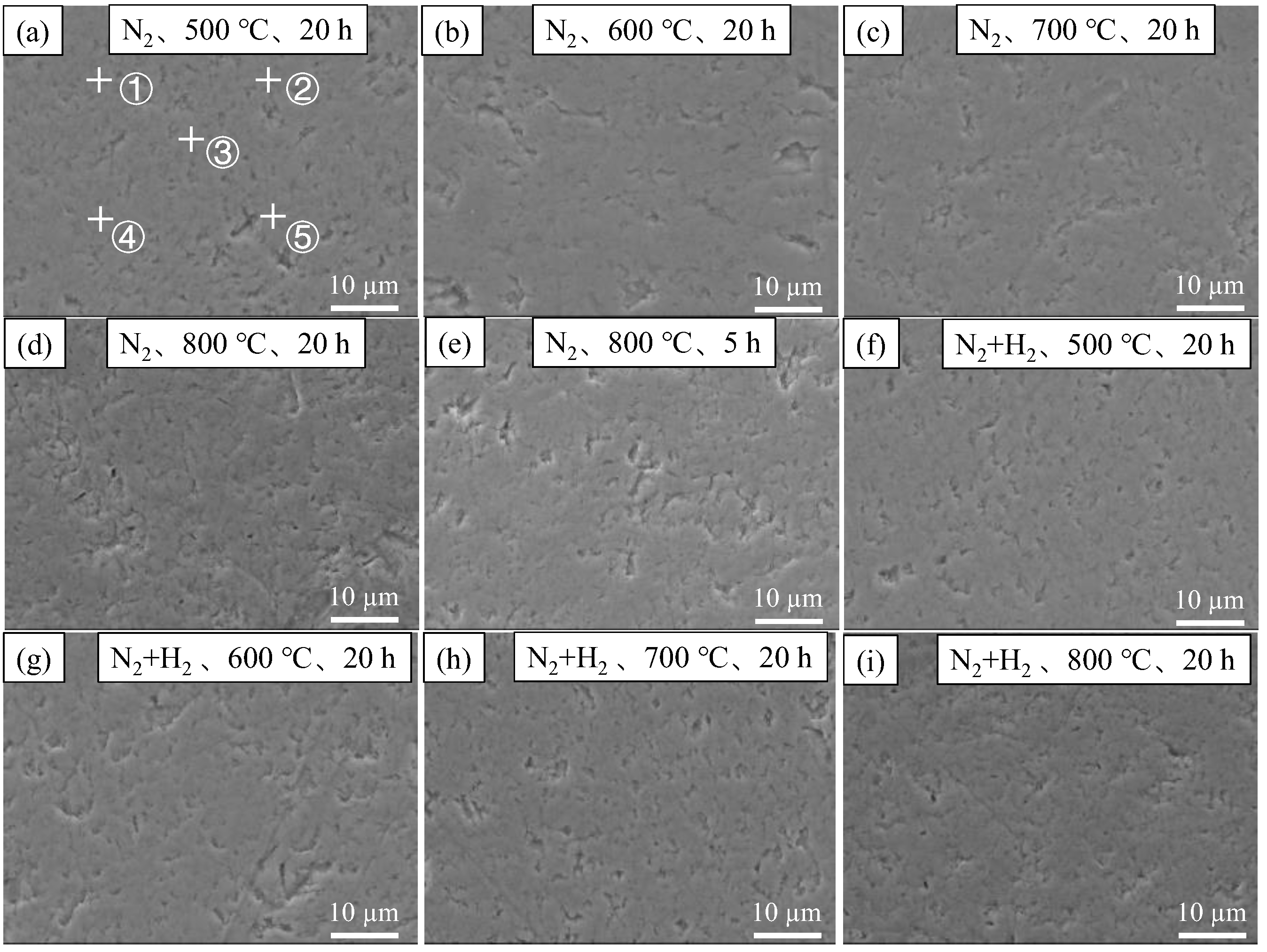 Materials 16 00349 g002