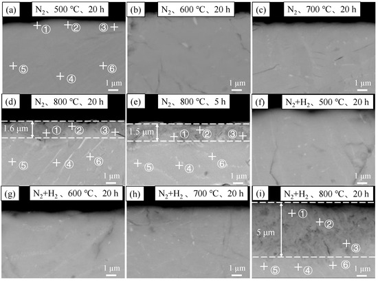 Mechanisms of Growth and Hydrogen Permeation of Zirconium Nitride