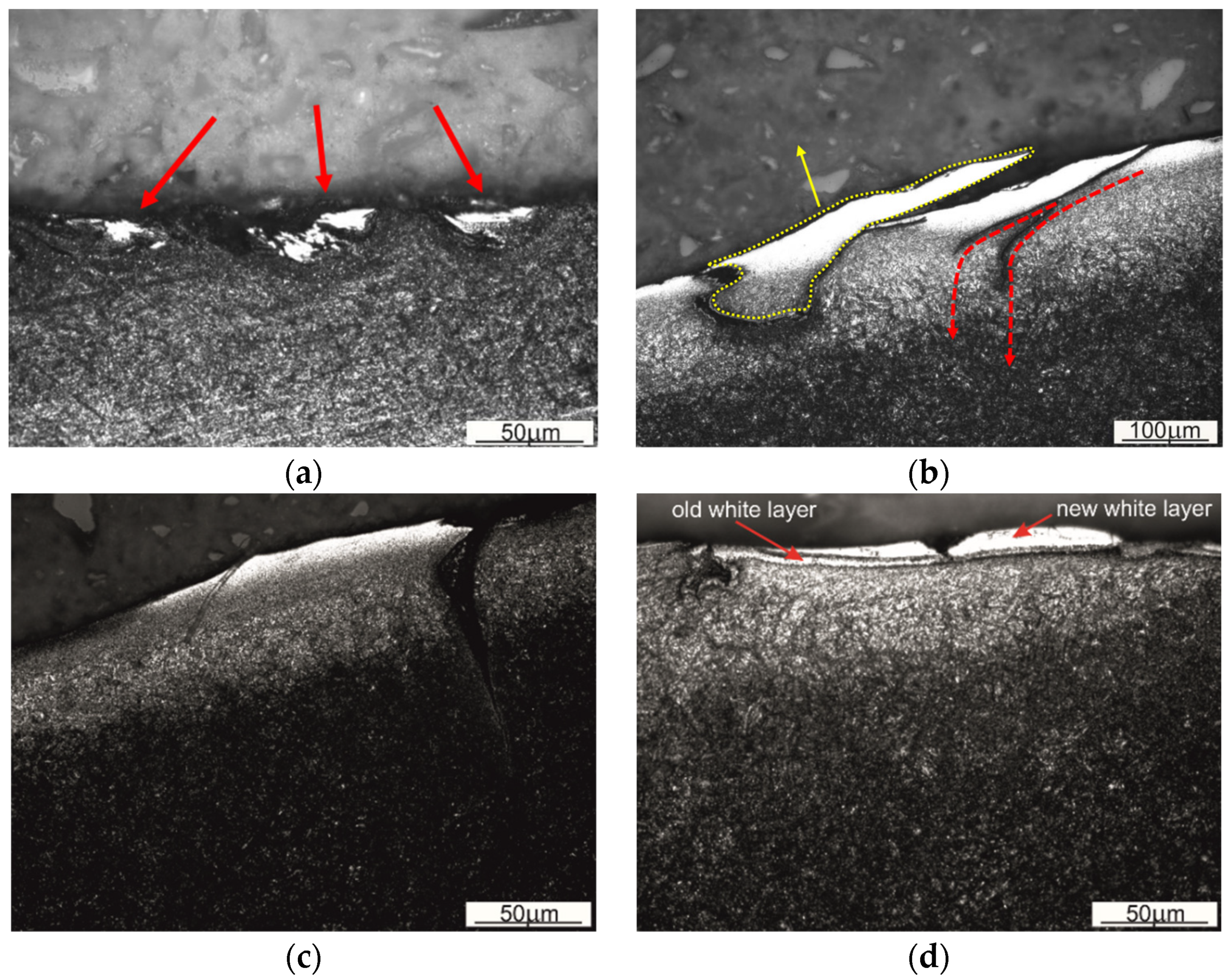 Materials 16 00351 g006 Materials 16 00351 g006