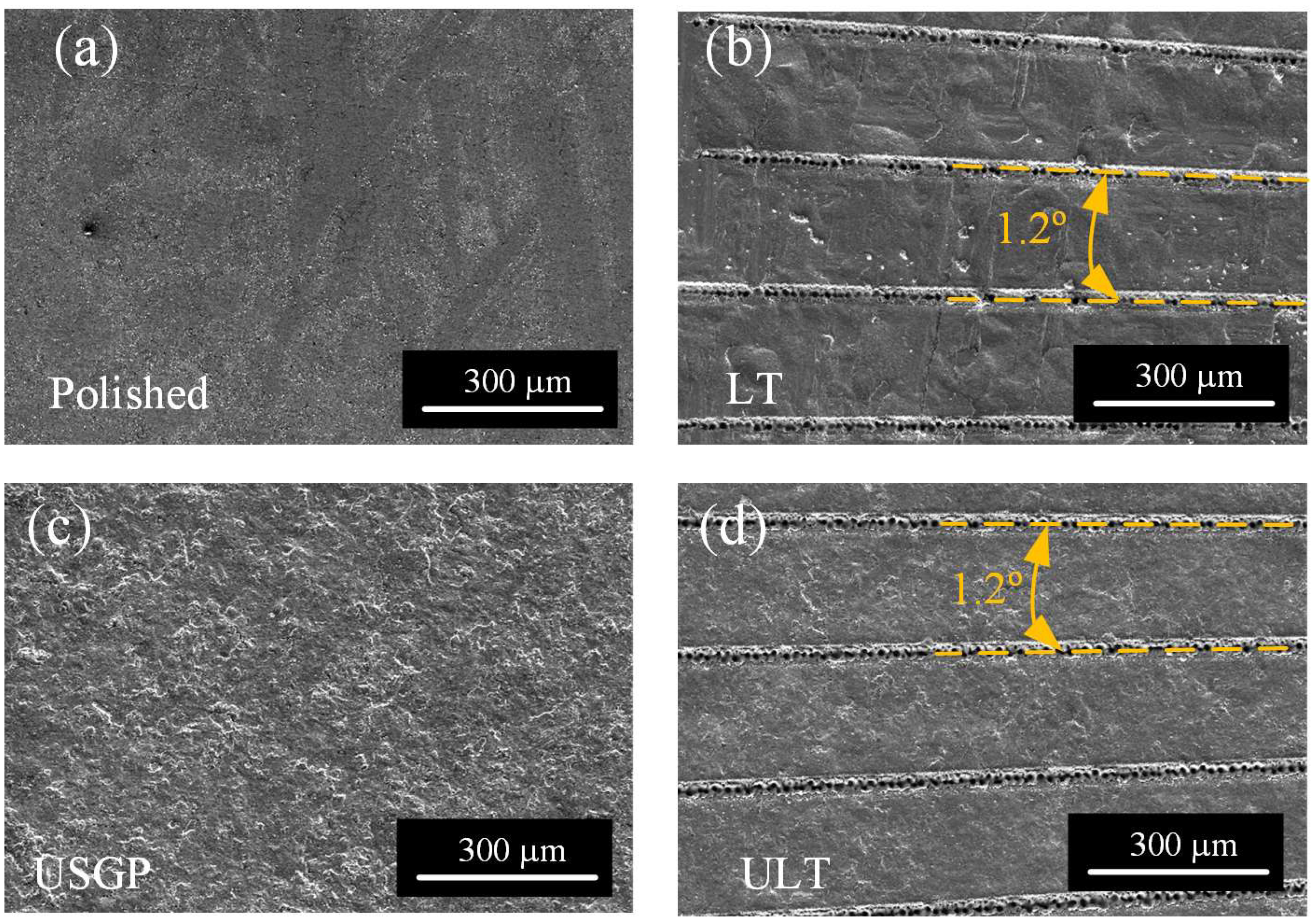 Materials 16 00355 g002 Materials 16 00355 g002