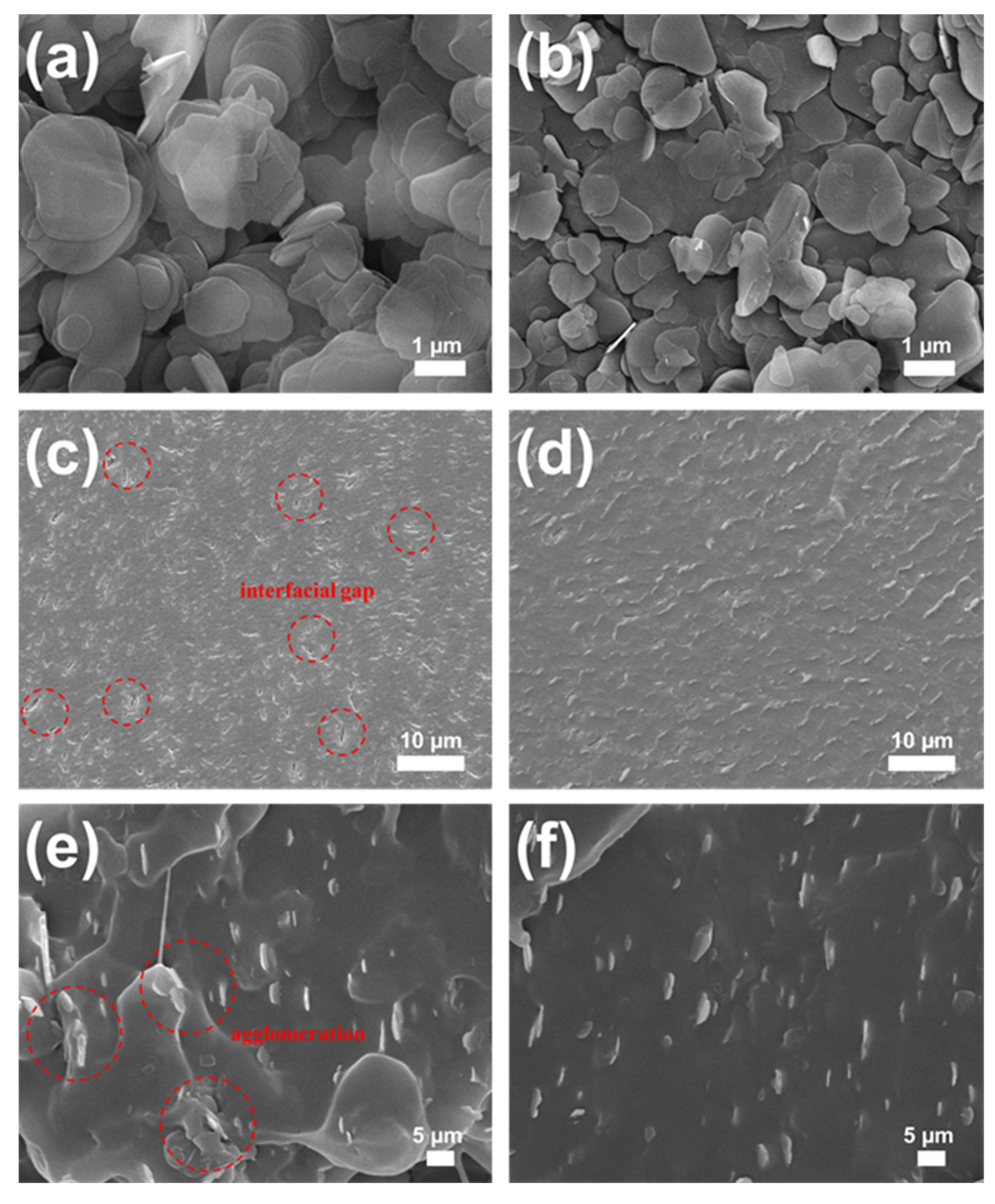 Materials 16 00356 g005