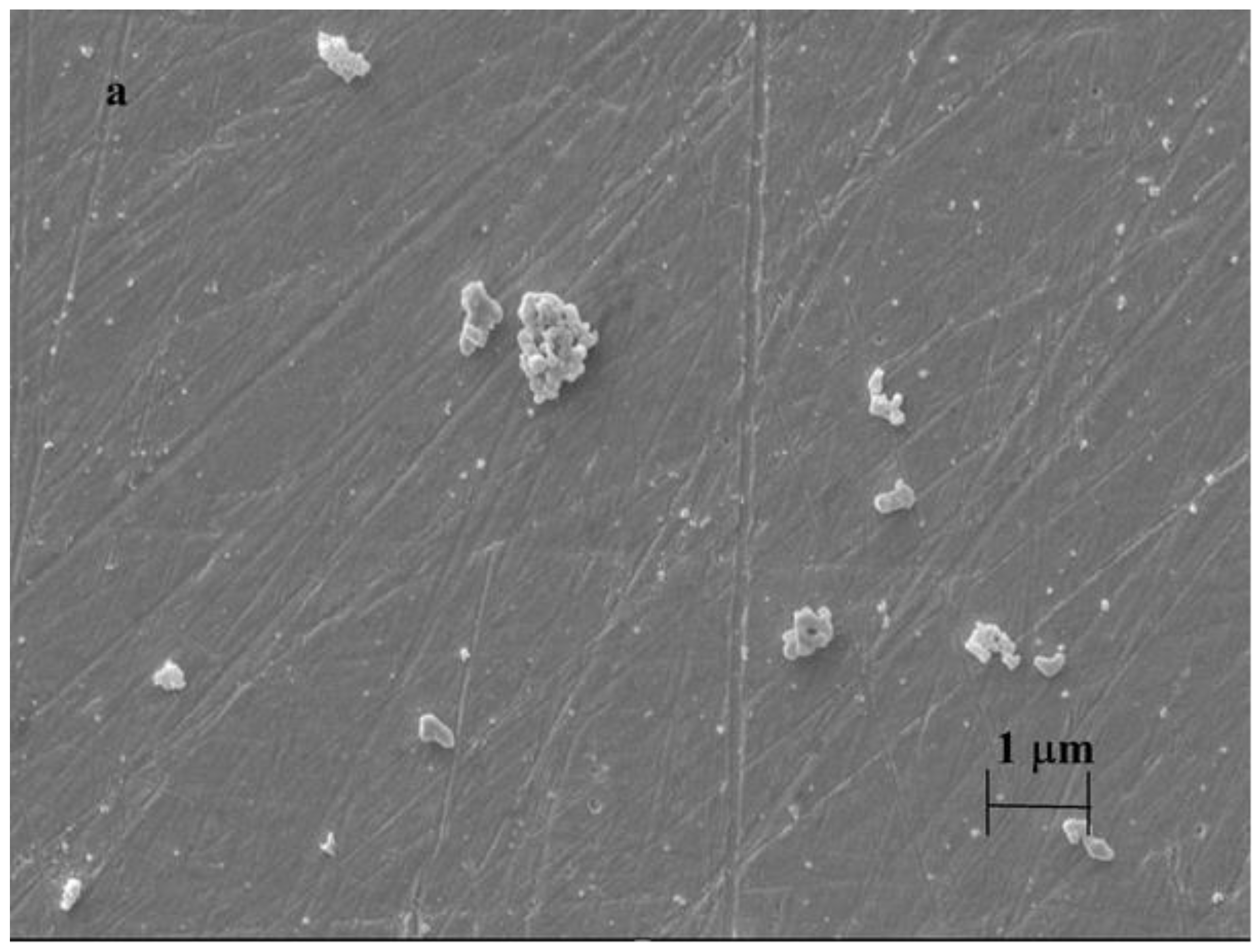 Materials 16 00357 g004a 550