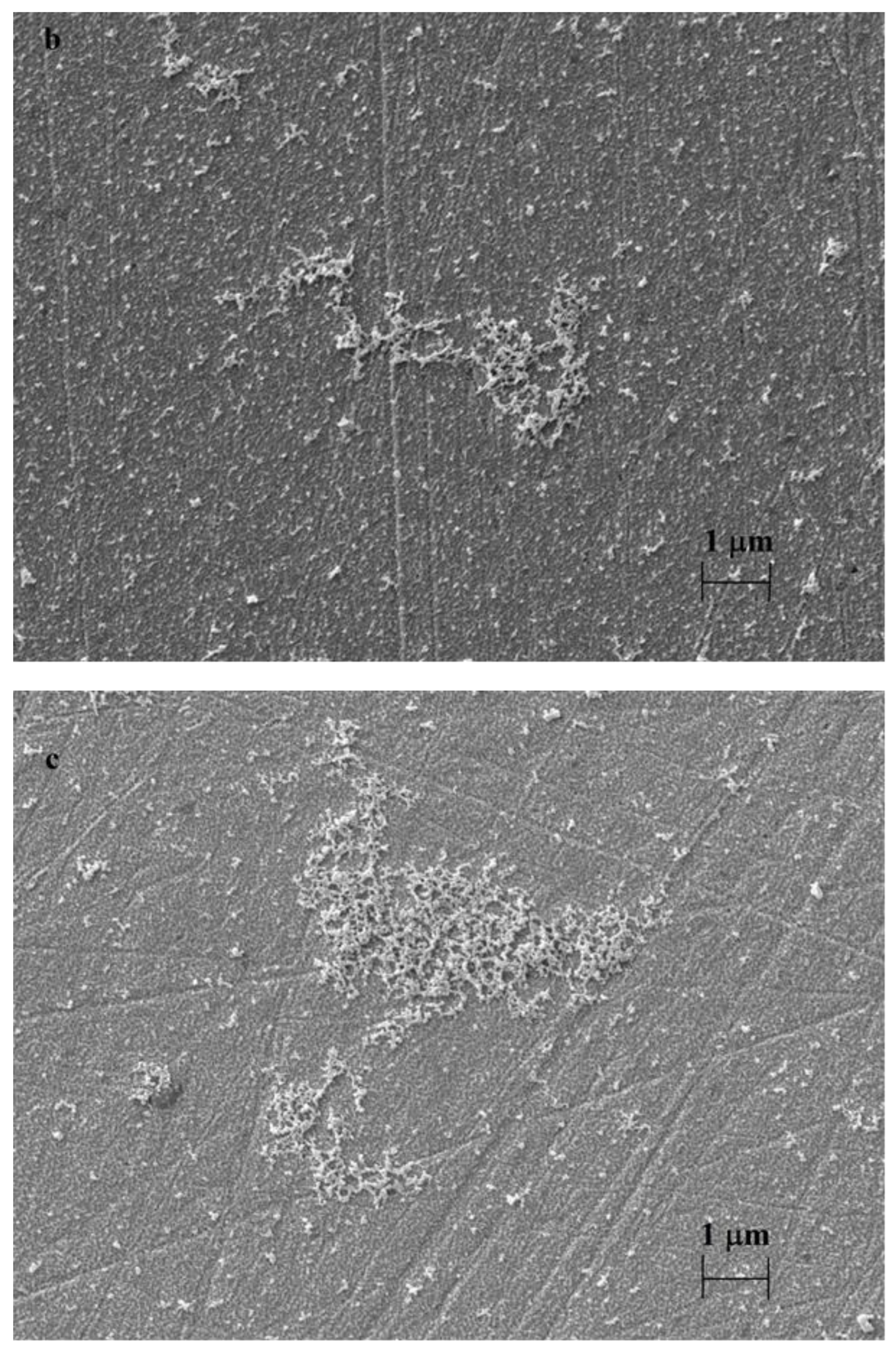 Materials 16 00357 g004b 550