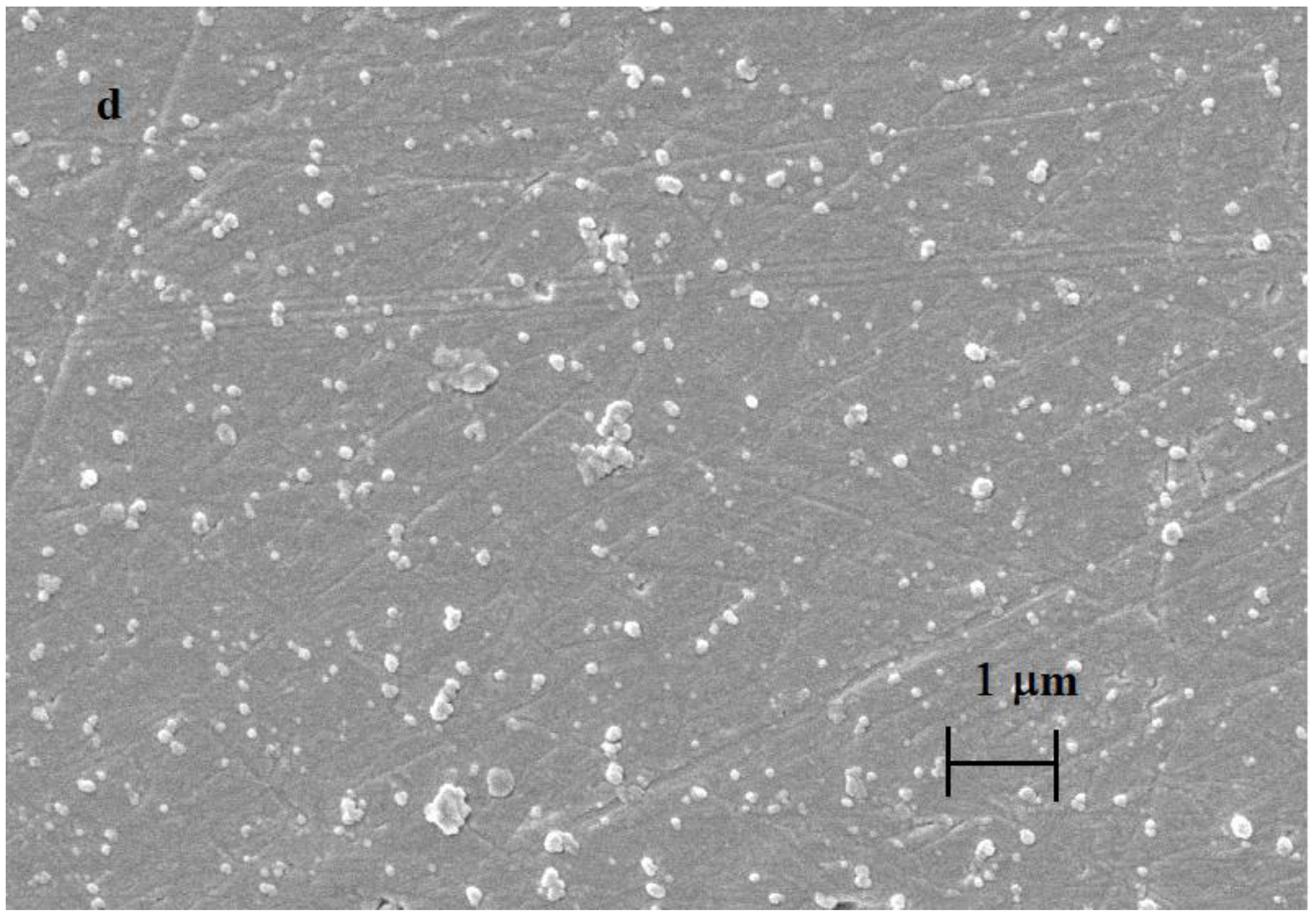 Materials 16 00357 g004c 550