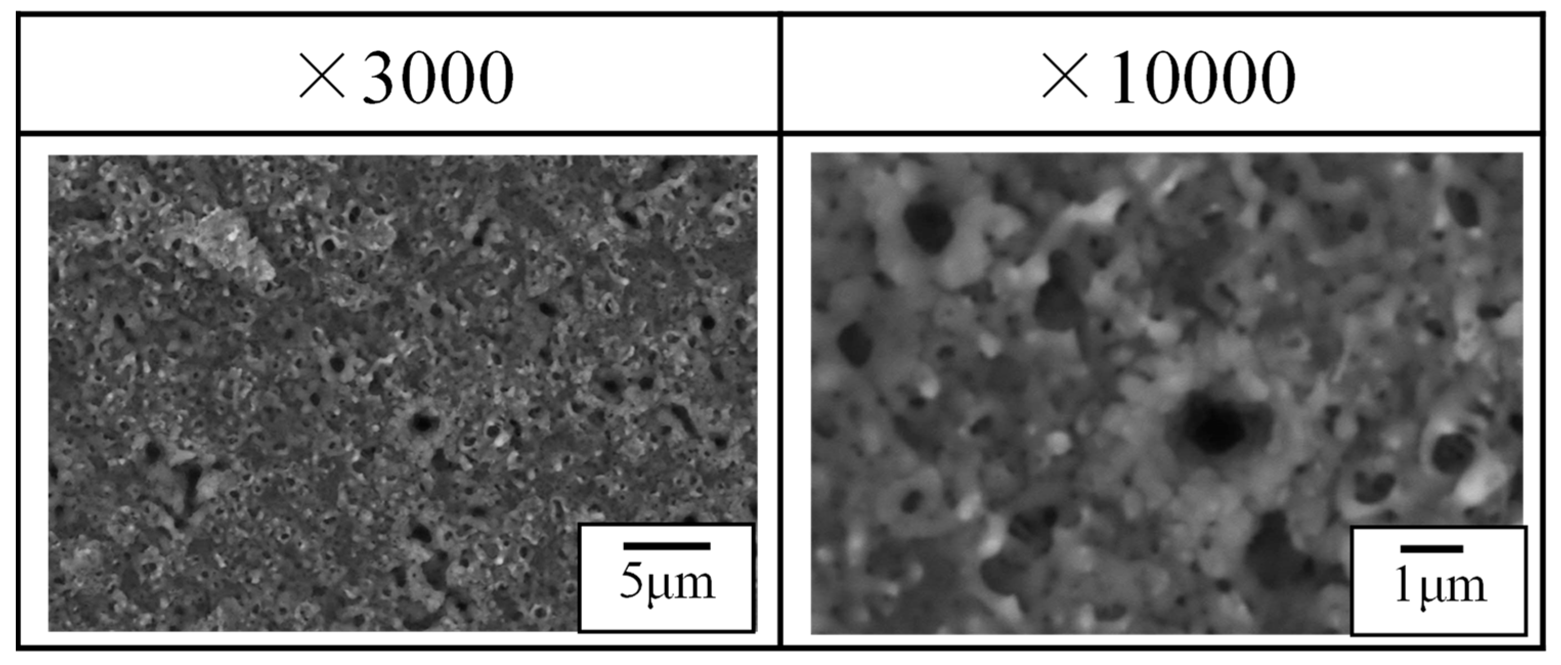 Materials 16 00360 g010 Materials 16 00360 g010