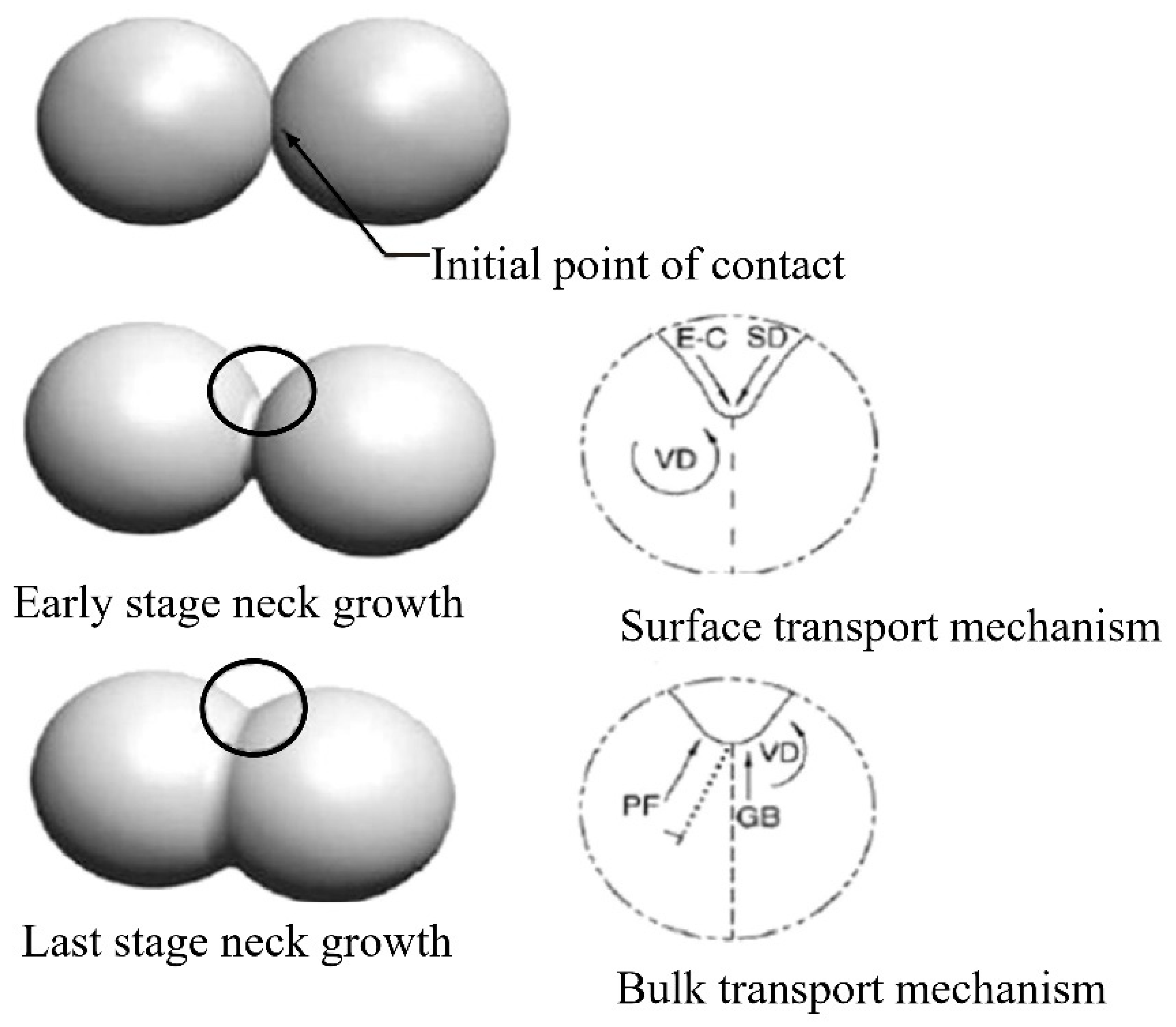 Materials 16 00379 g015 Materials 16 00379 g015