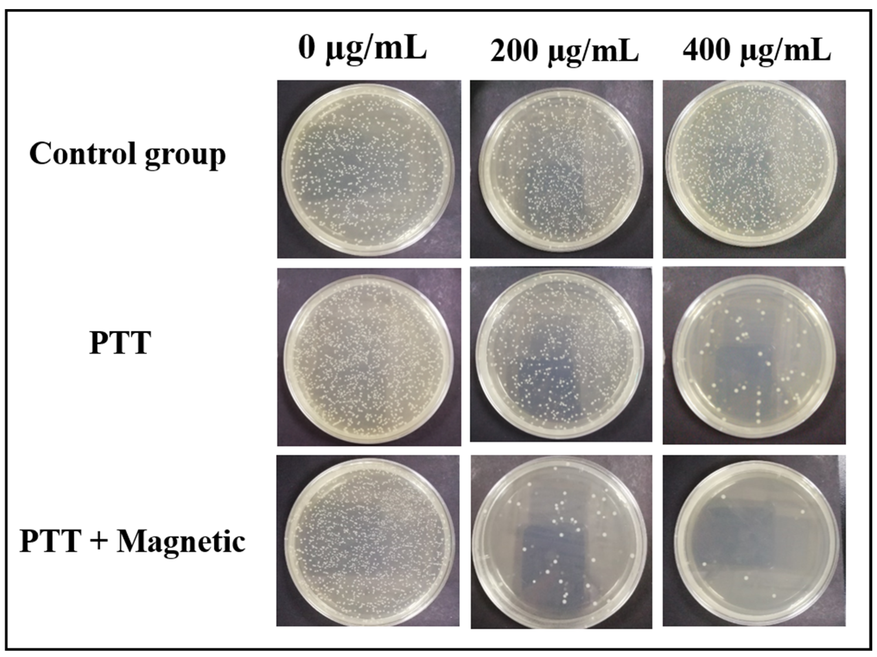 Materials 16 00387 g009
