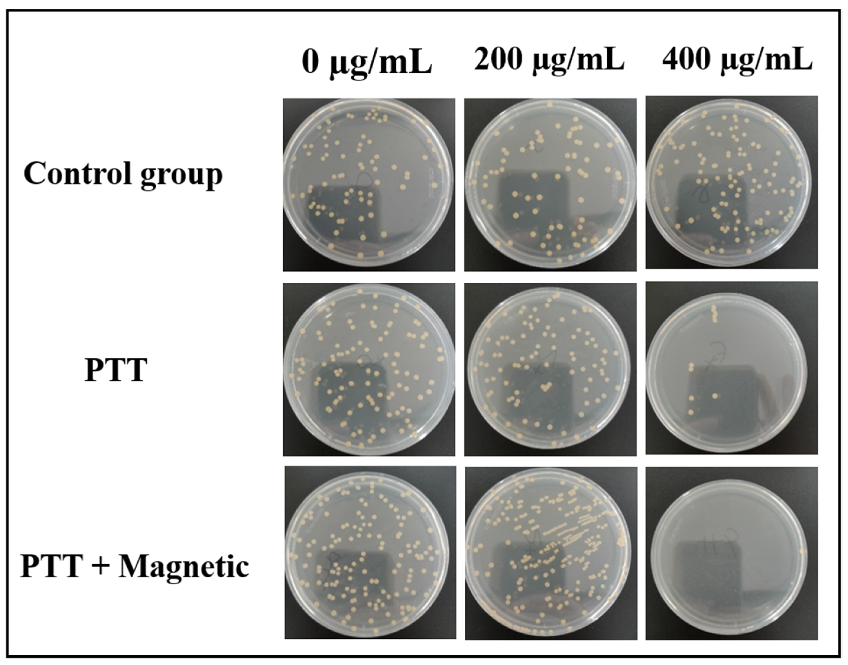 Materials 16 00387 g010
