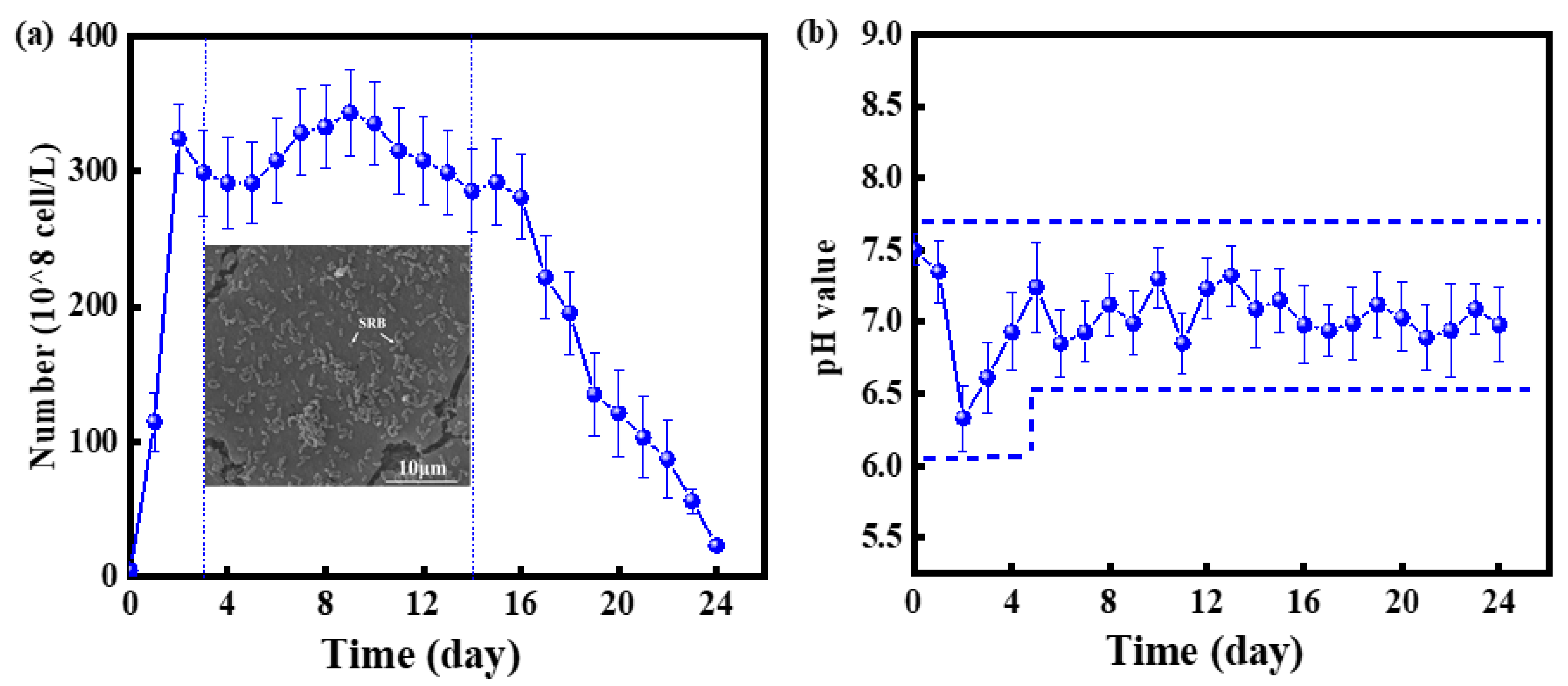 Materials 16 00390 g004 Materials 16 00390 g004