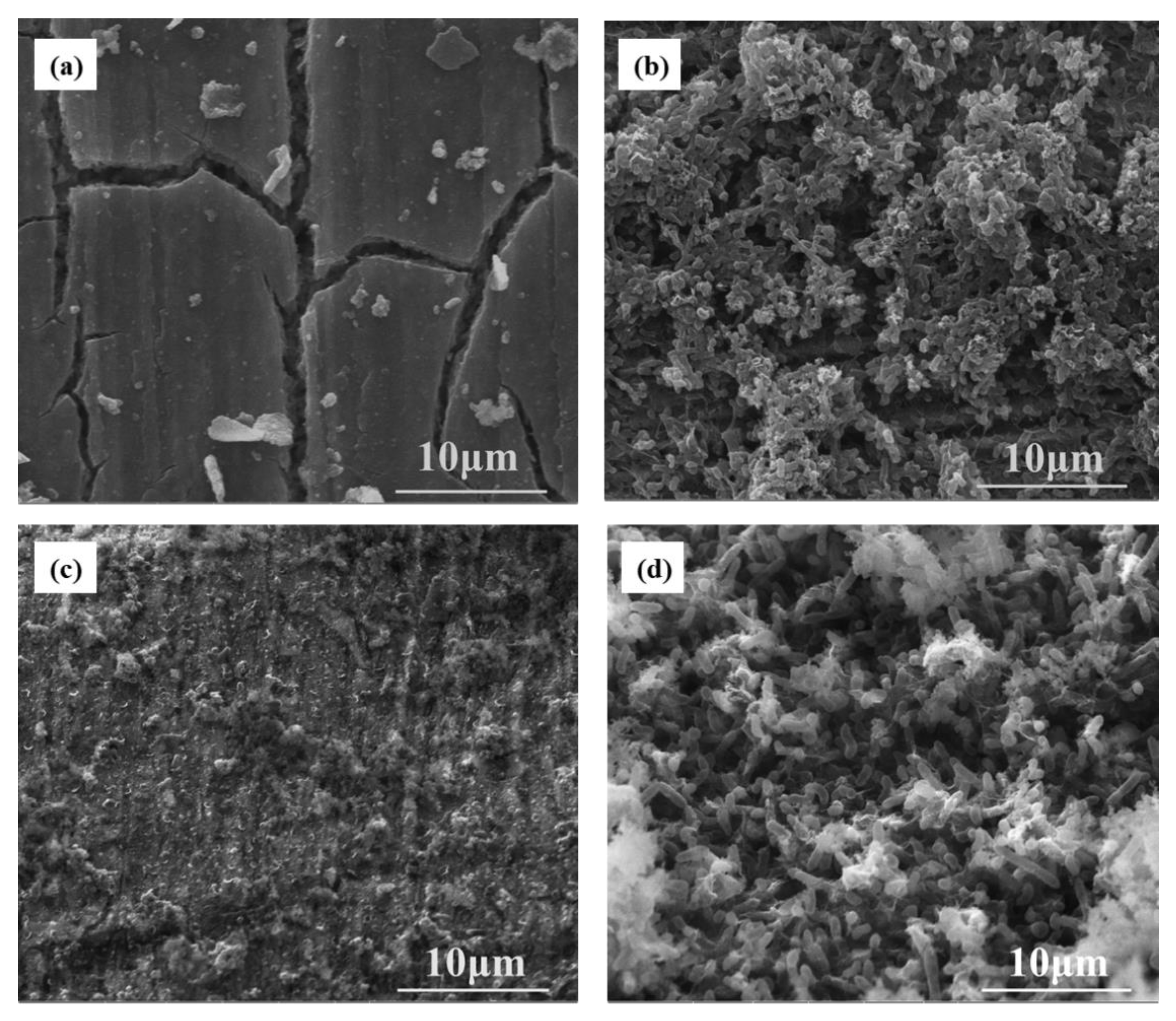 Materials 16 00390 g005 Materials 16 00390 g005