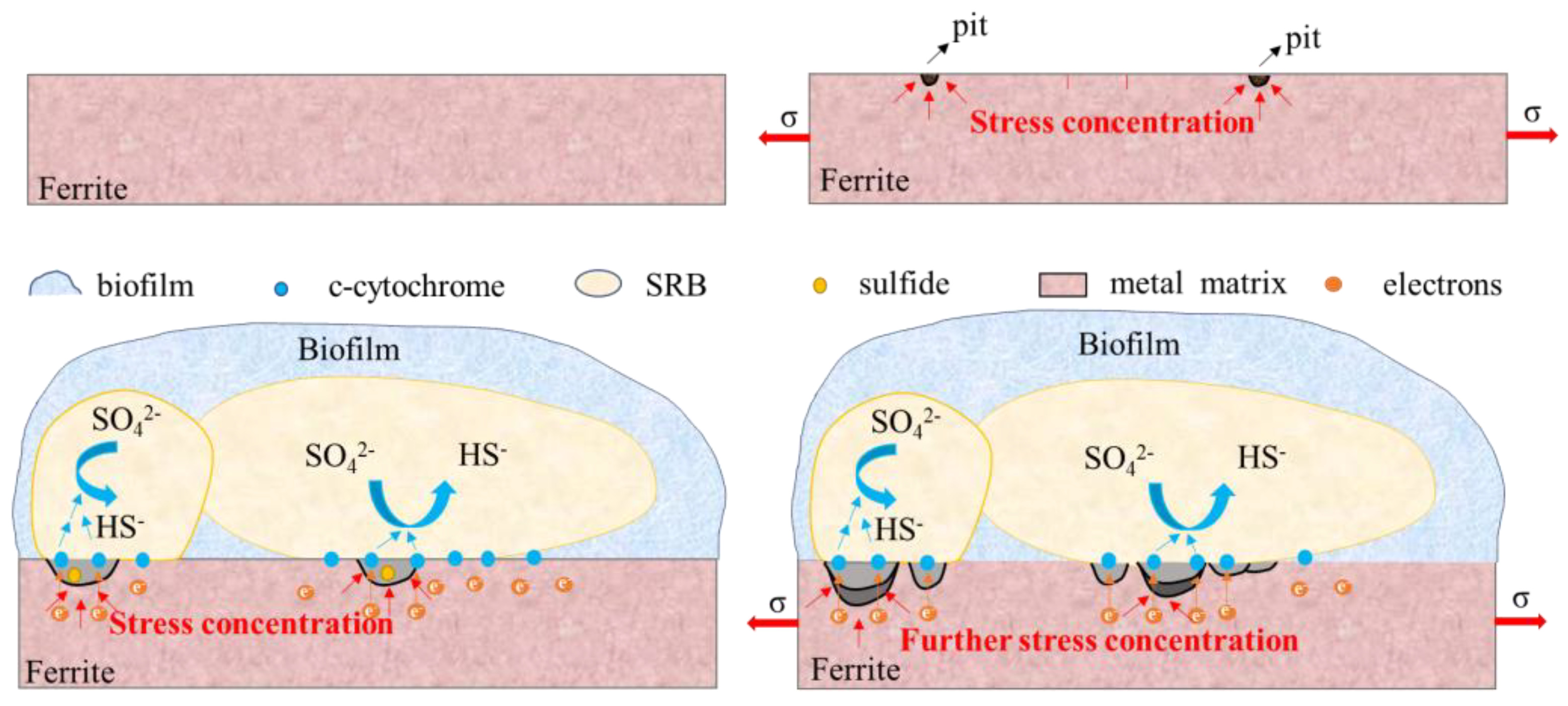 Materials 16 00390 g016 Materials 16 00390 g016