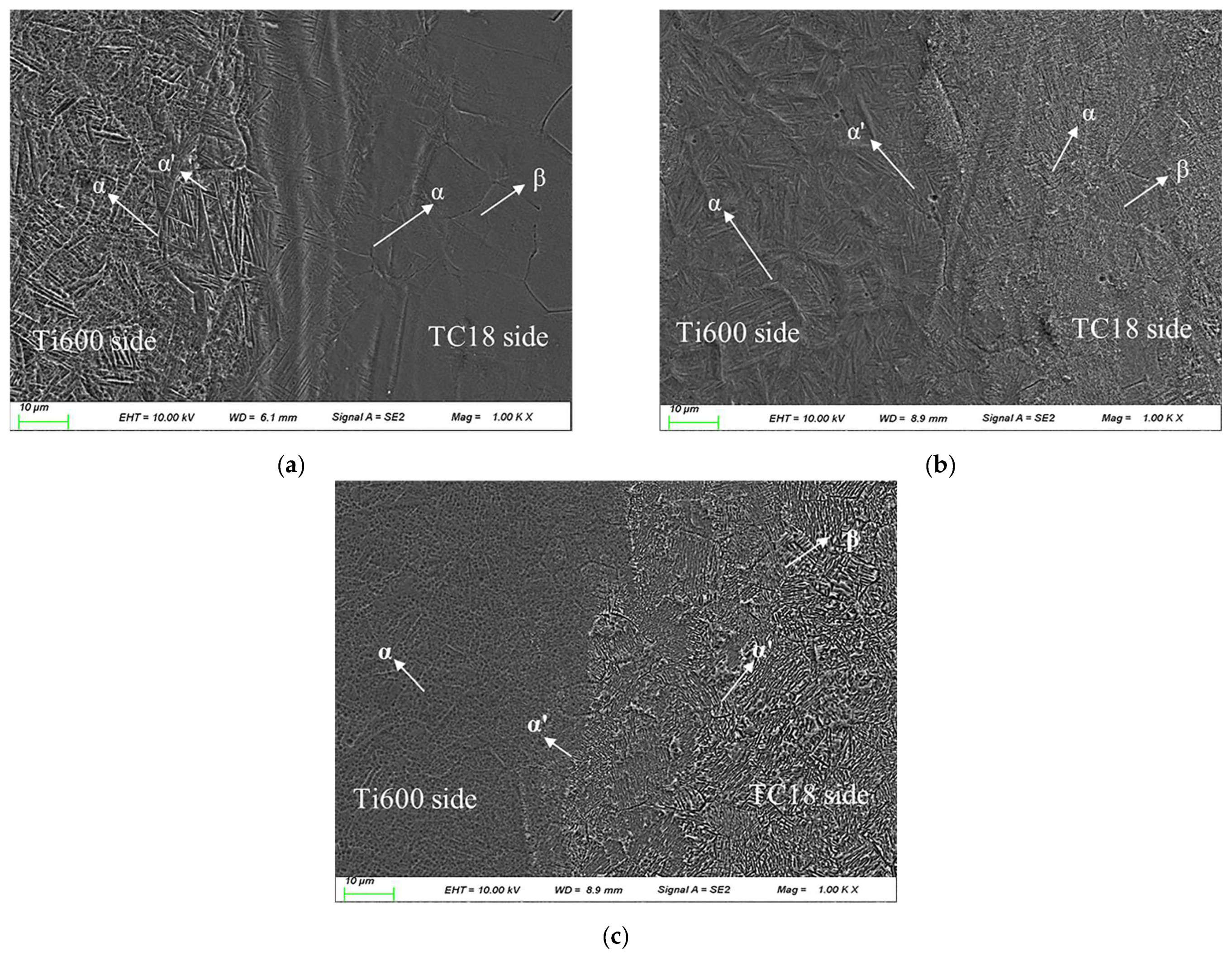 Materials 16 00392 g005 Materials 16 00392 g005