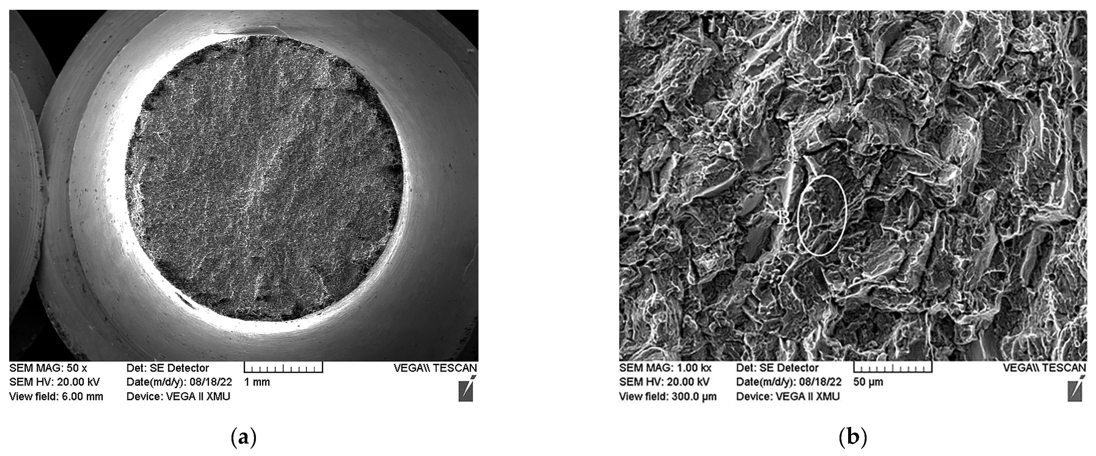 Materials 16 00392 g015a Materials 16 00392 g015a