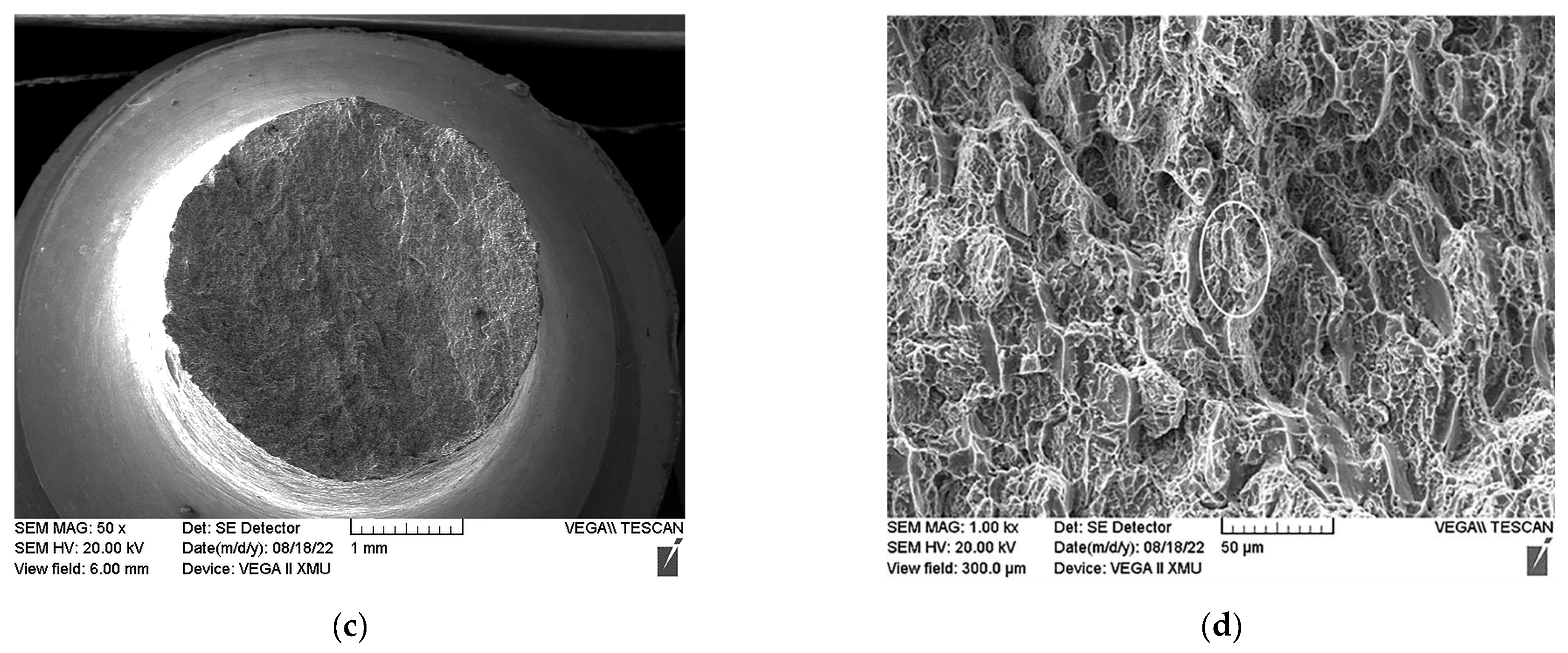 Materials 16 00392 g015b Materials 16 00392 g015b