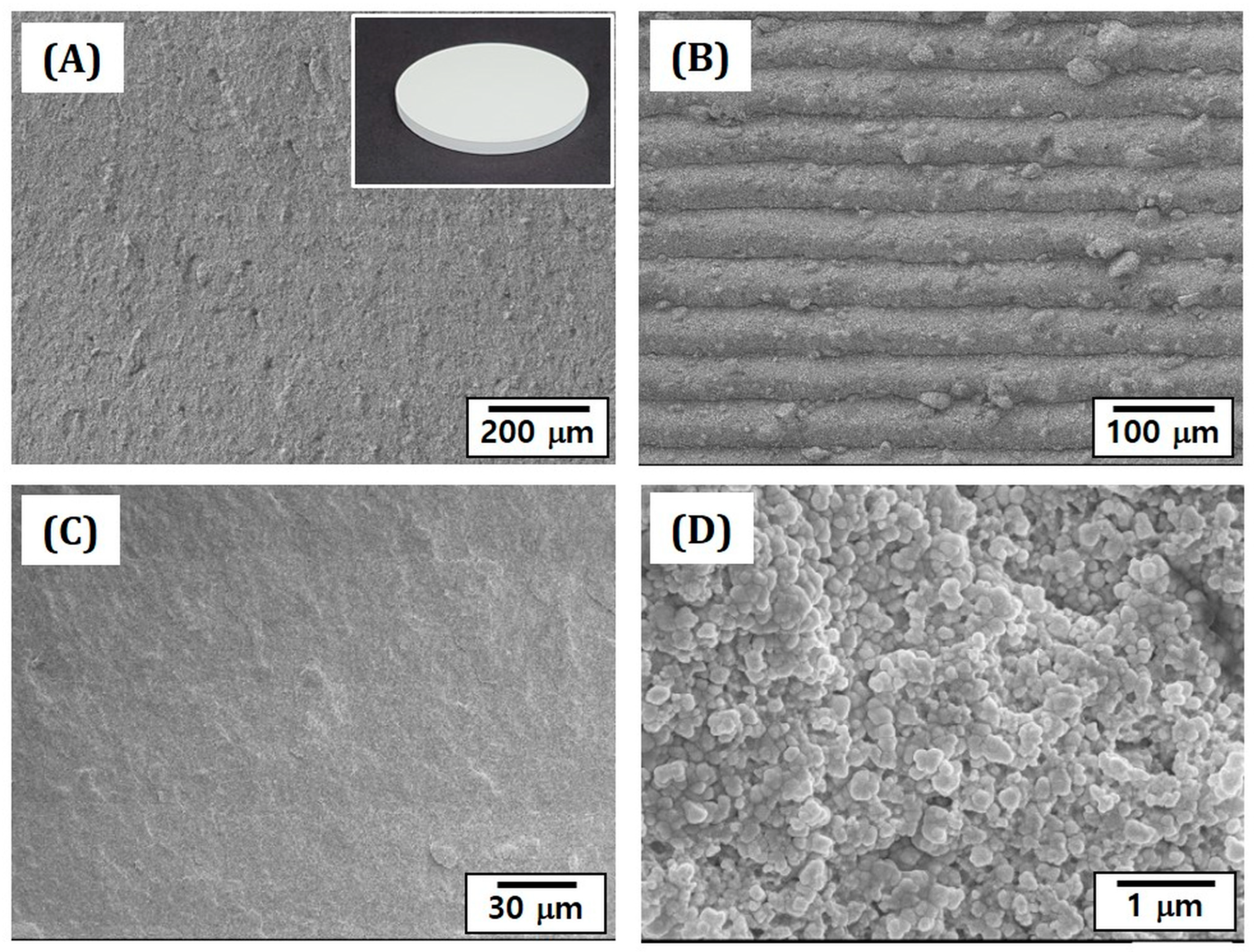 Materials 16 00402 g008
