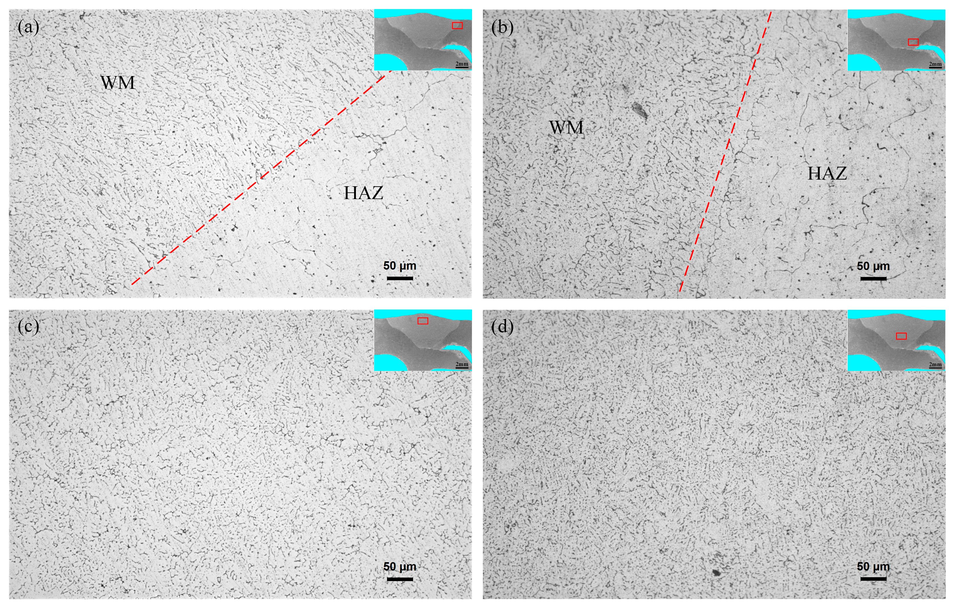 Materials 16 00404 g005 Materials 16 00404 g005