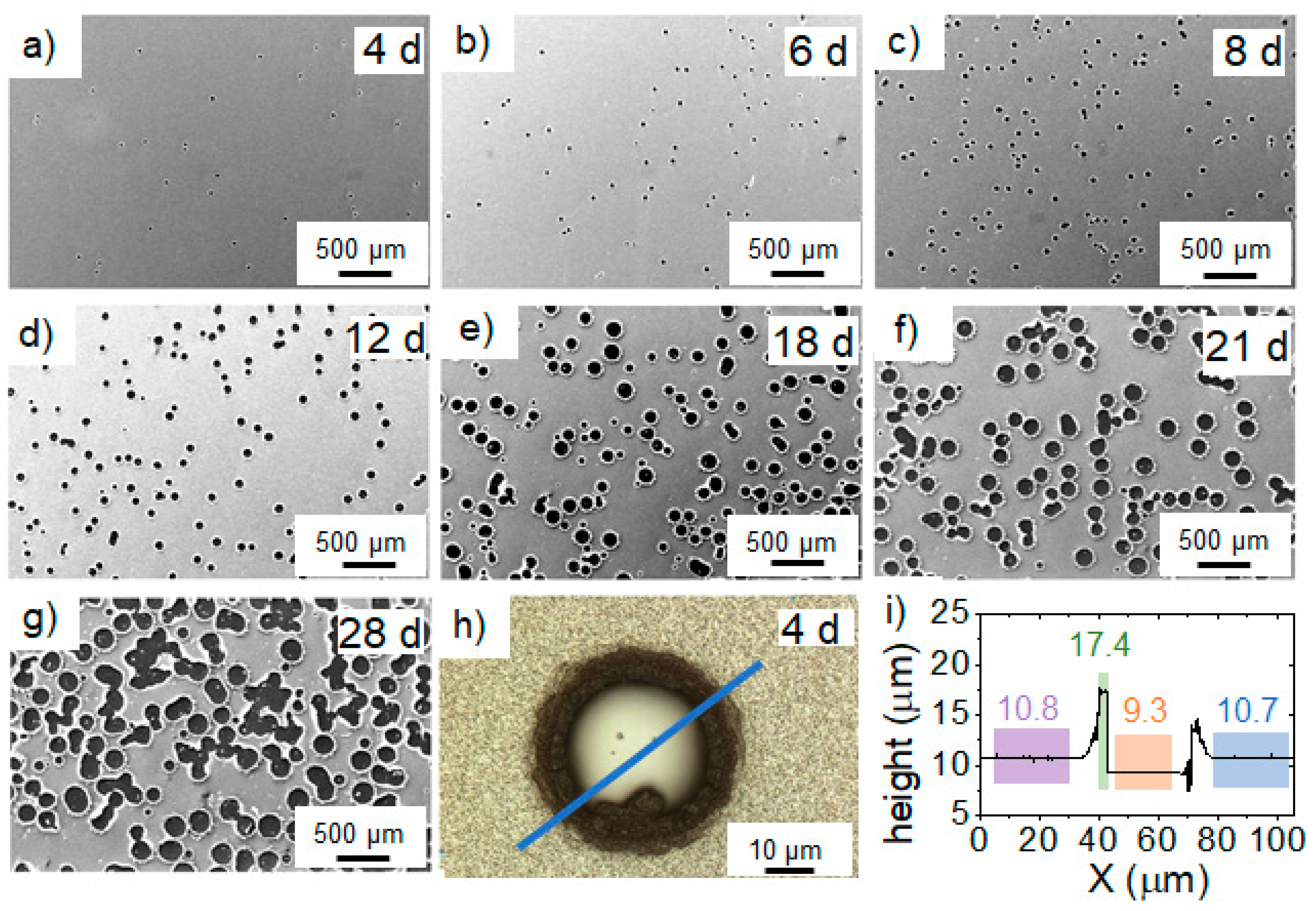 Materials 16 00414 g003 Materials 16 00414 g003
