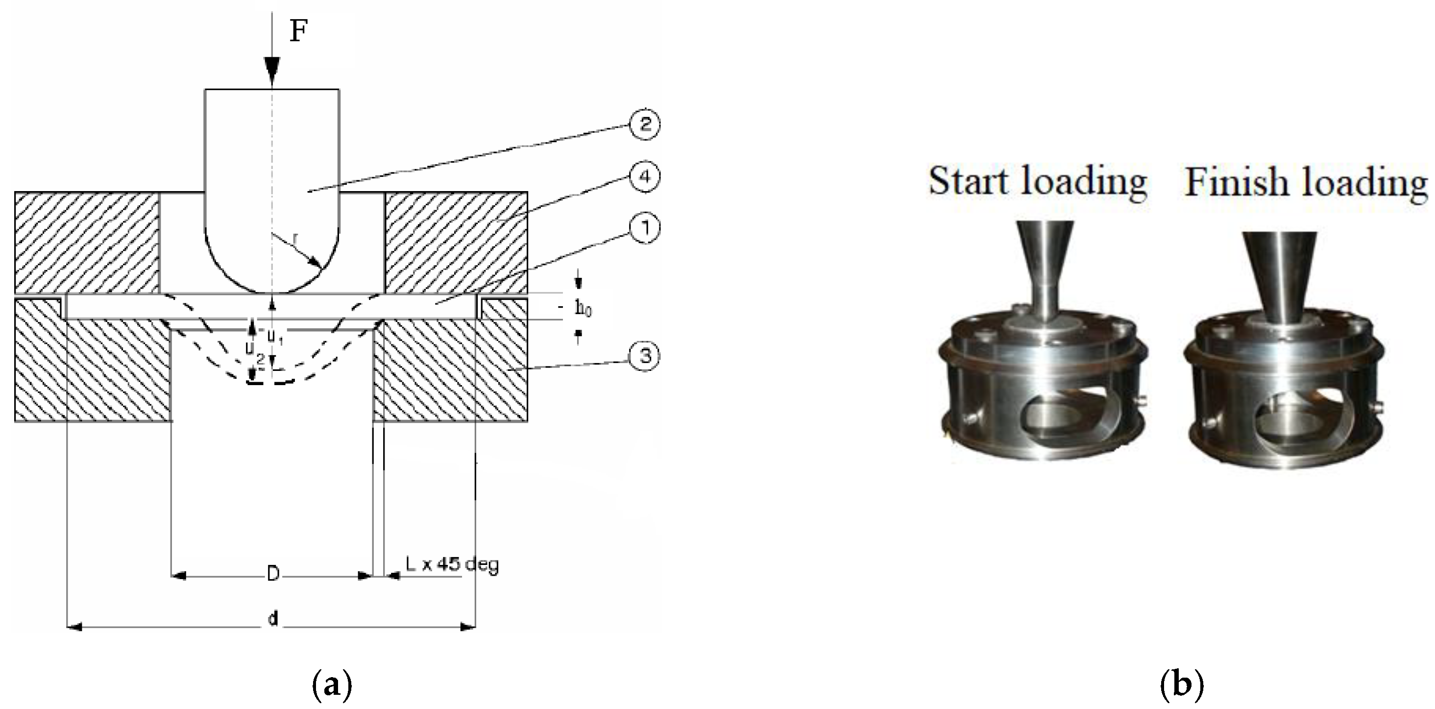 Materials 16 00416 g002